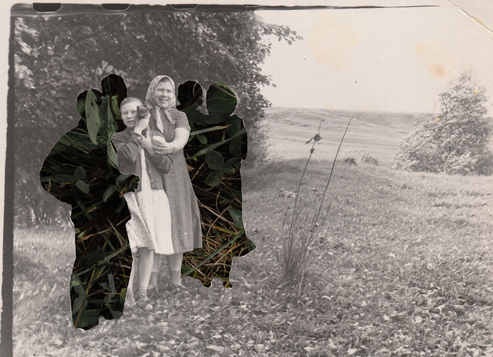 Another swallow | ongoing. Nasti Davydova