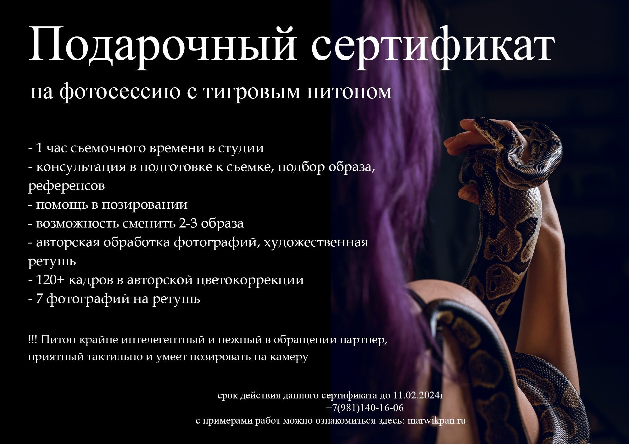 Подарочный сертификат. Фотосессия в Спб в студии, фотограф Панютина Марина