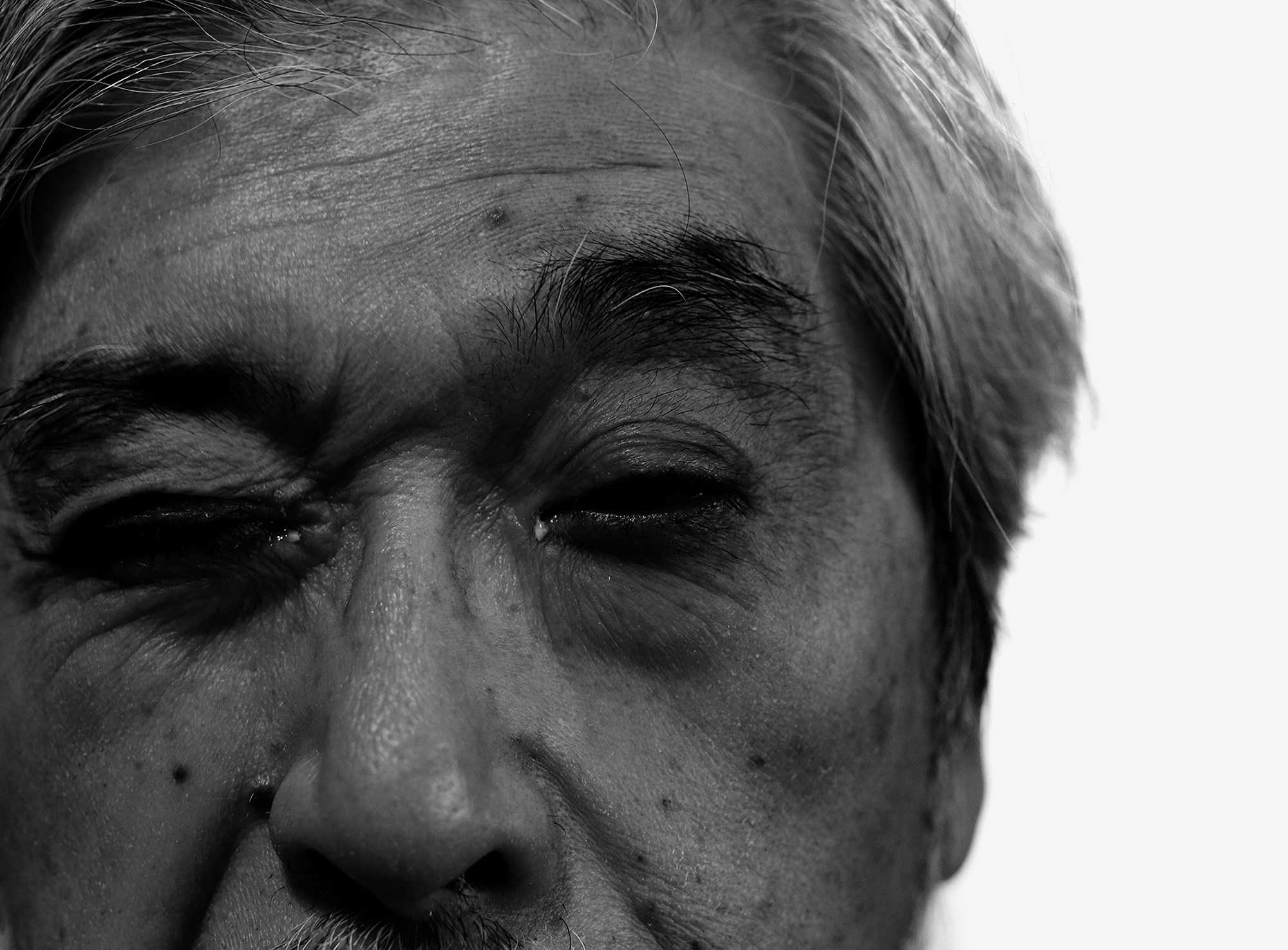 ИНТЕРВЬЮ С АВТОРАМИ: MOE SUZUKI. Самоорганизация Низина