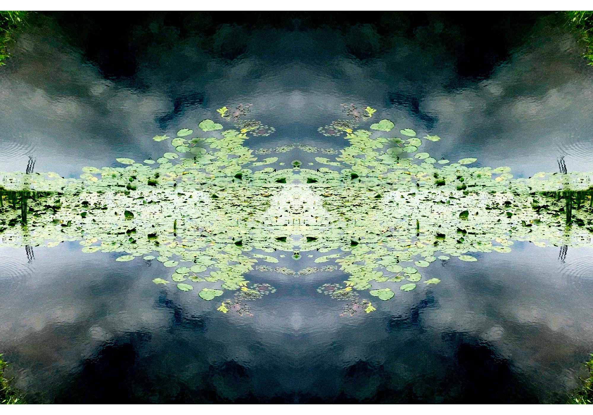 Two hundred and fifty. Mobile photo