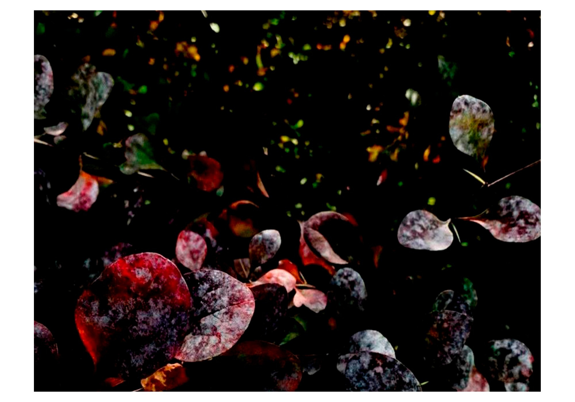 Lost and found. Mobile photo