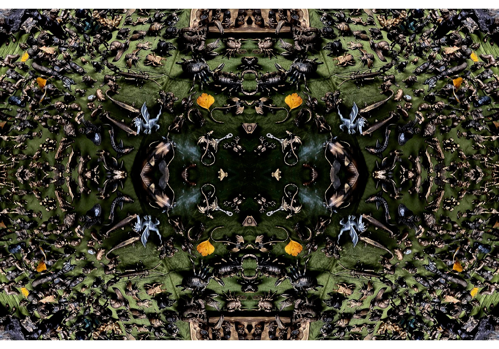 Once at all. Mobile photo