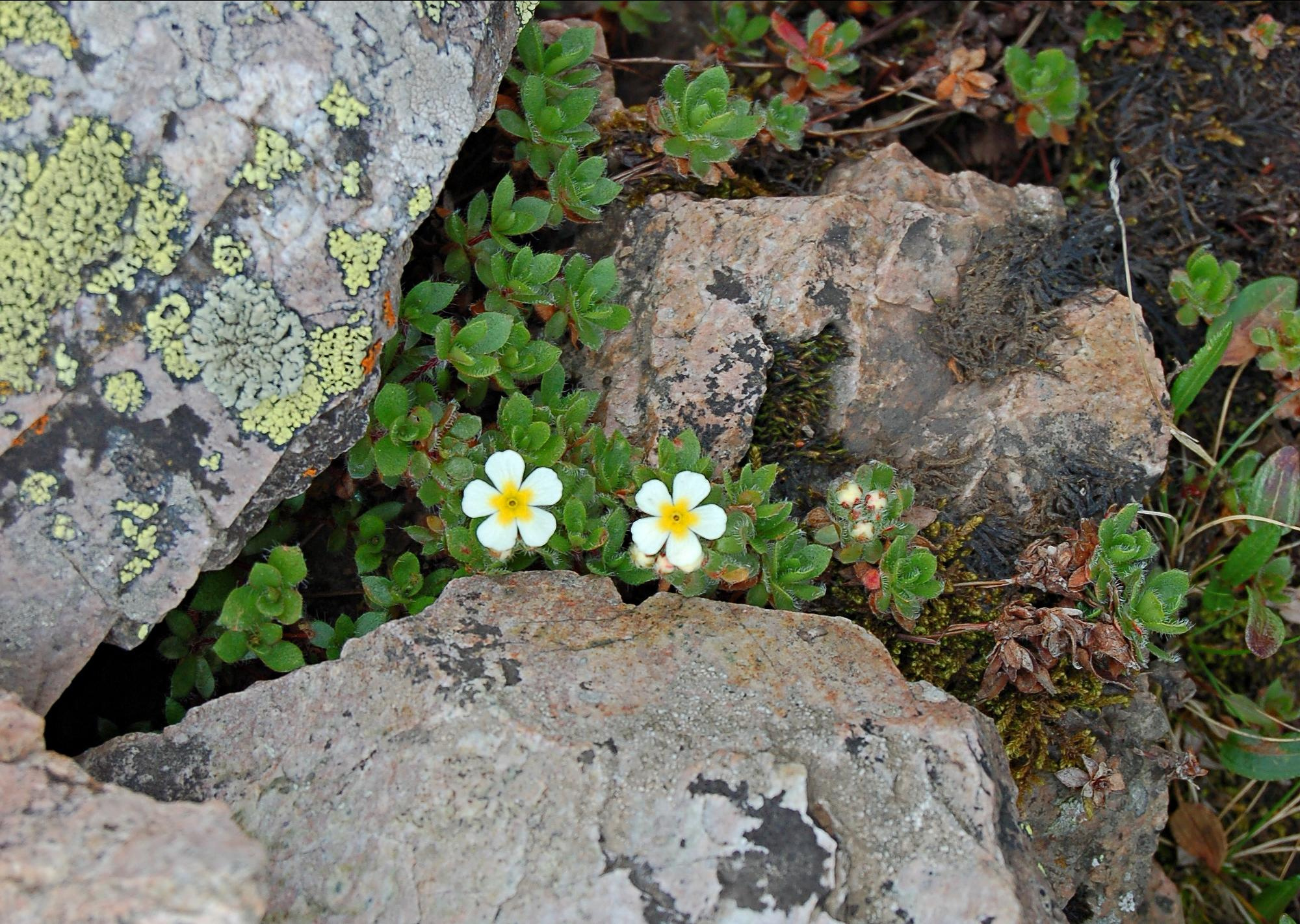 Прогулка по городу Алма́-Ата́ и его окрестностям. Фото и жизнь