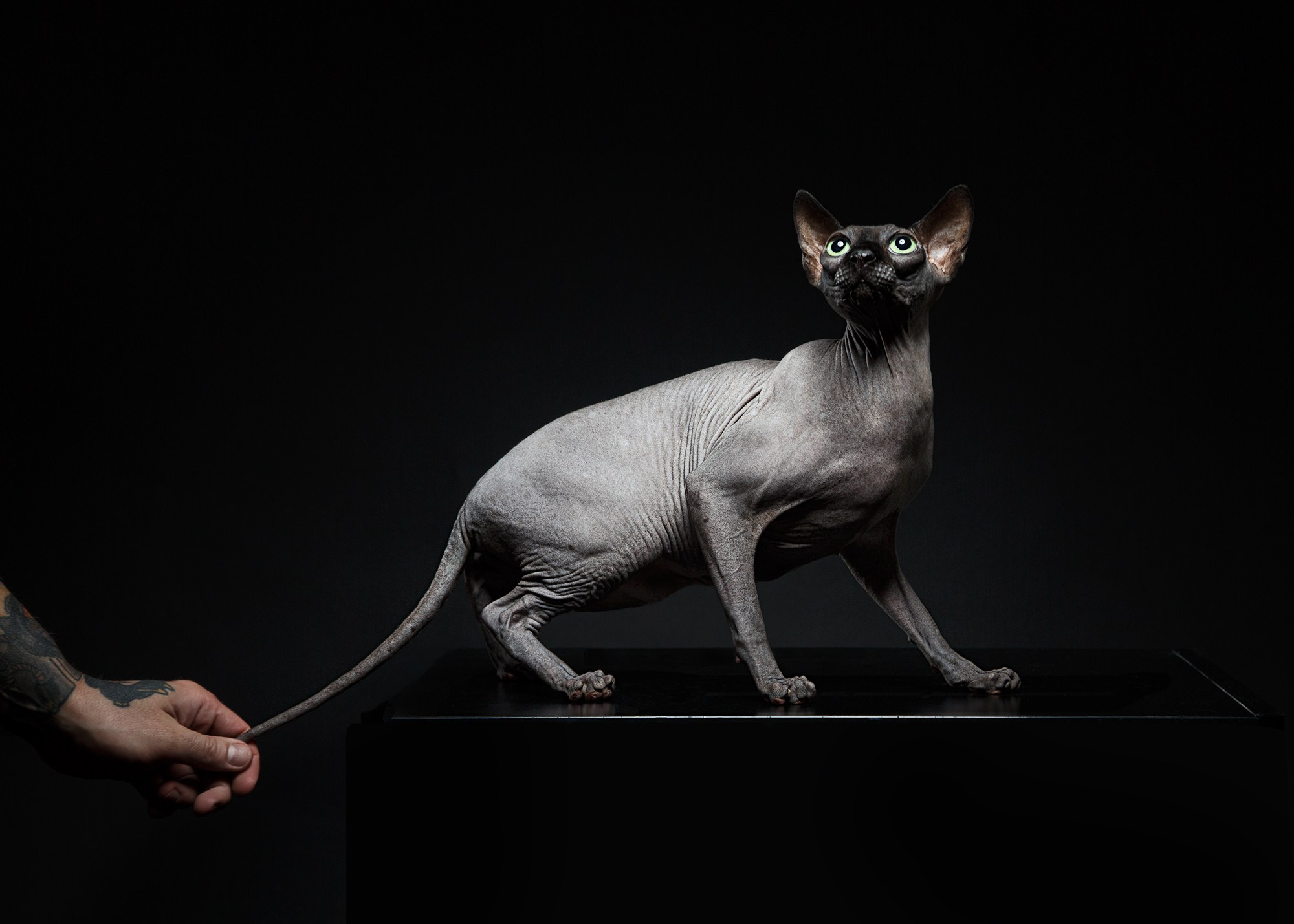 КРАСОТА МОМЕНТА. Фотограф Михаил Стенин