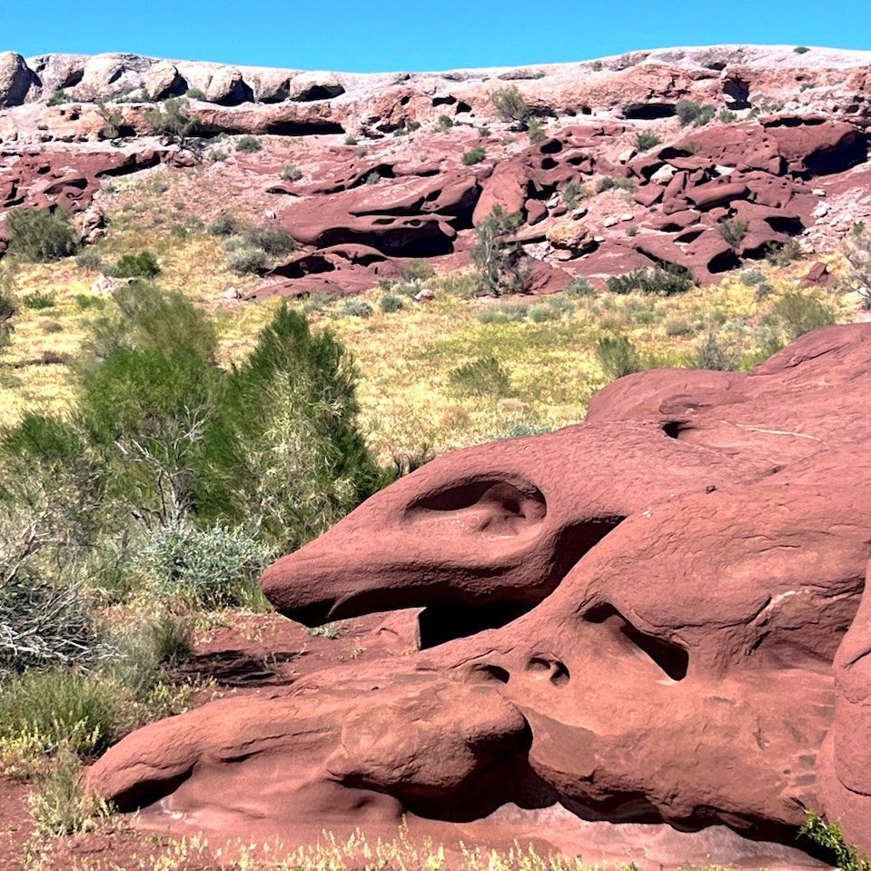 Национальный парк Алтын Эмель рядом с Алматы, Казахстан. Где находится, как доехать, фото и видео зимой и летом