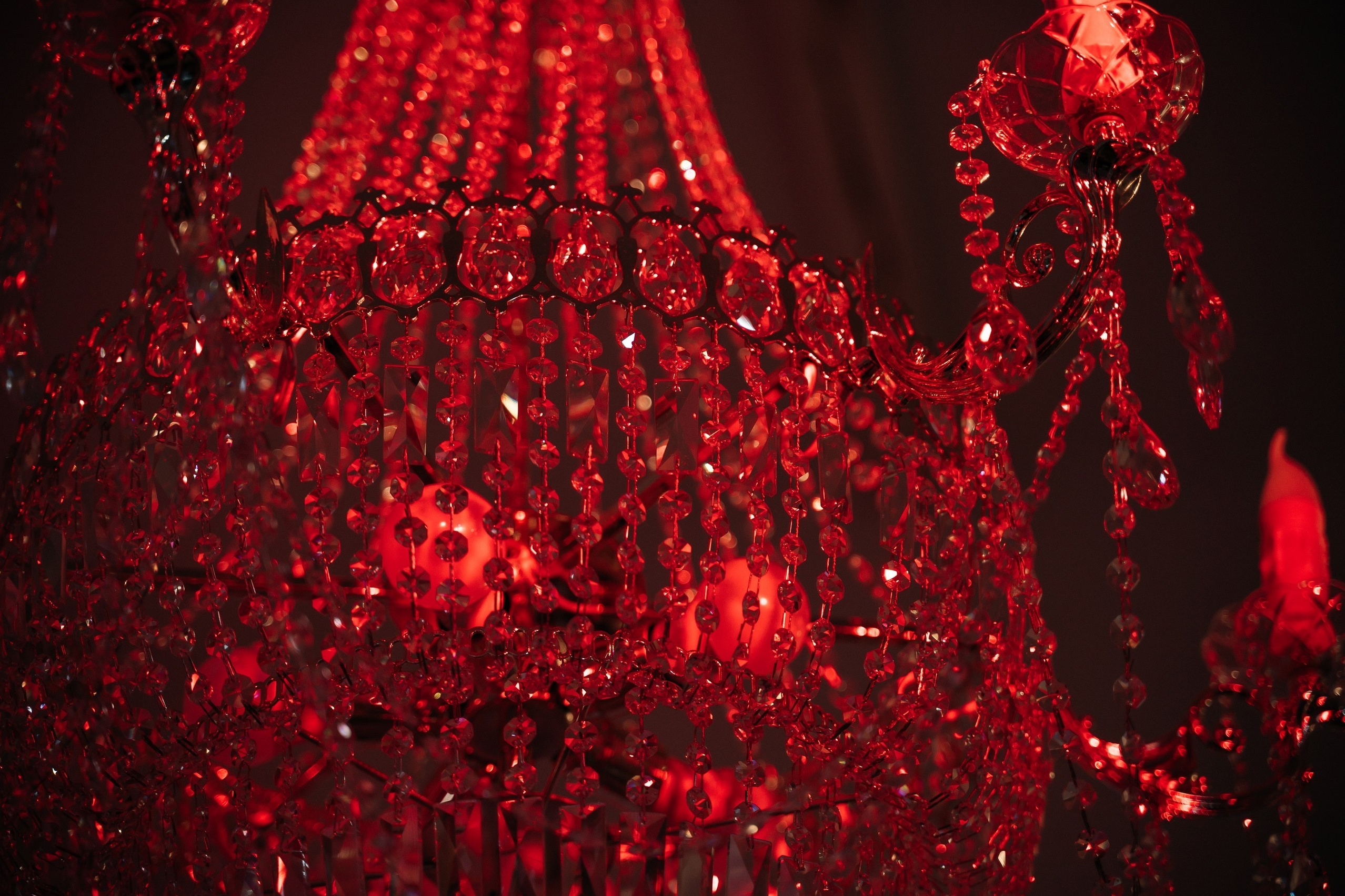 Услуги. Фотограф СПБ