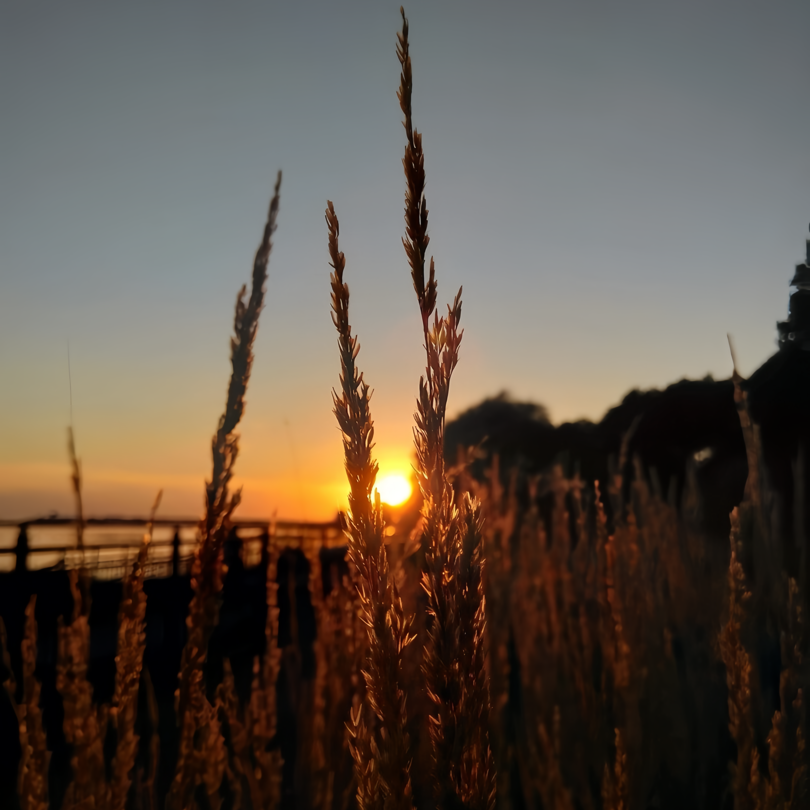 Надежда Козлова, фотограф, Санкт — Петербург