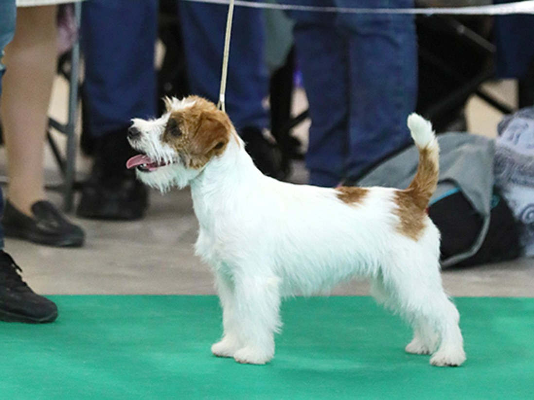 Port Fortis Nord Star