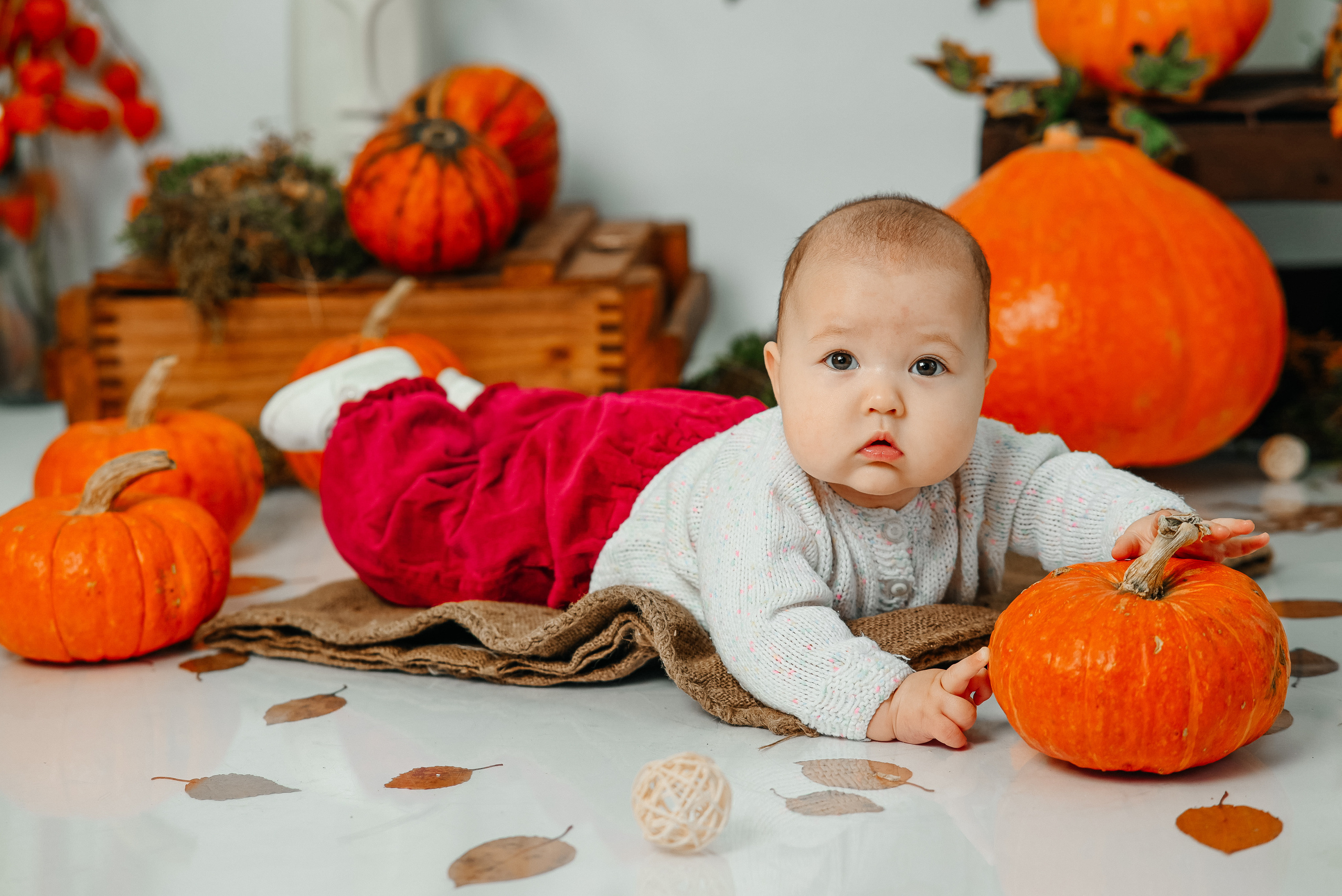 Годовое фотосопровождение. Свадебный, семейный и школьный фотограф в Бийске Ксения Мамаева