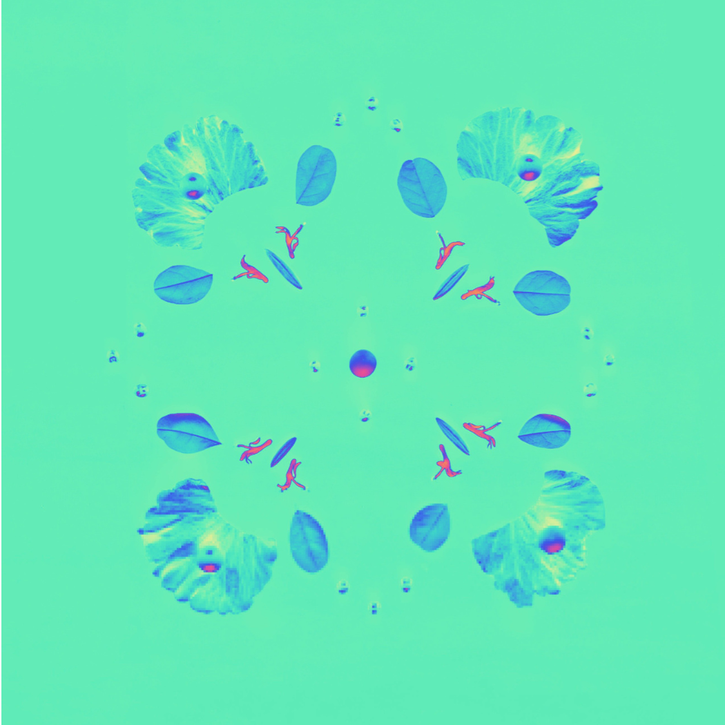 THERAPY LAYER. Сocoobird || Capturing the Essence of Your Brand in Photos & Videos