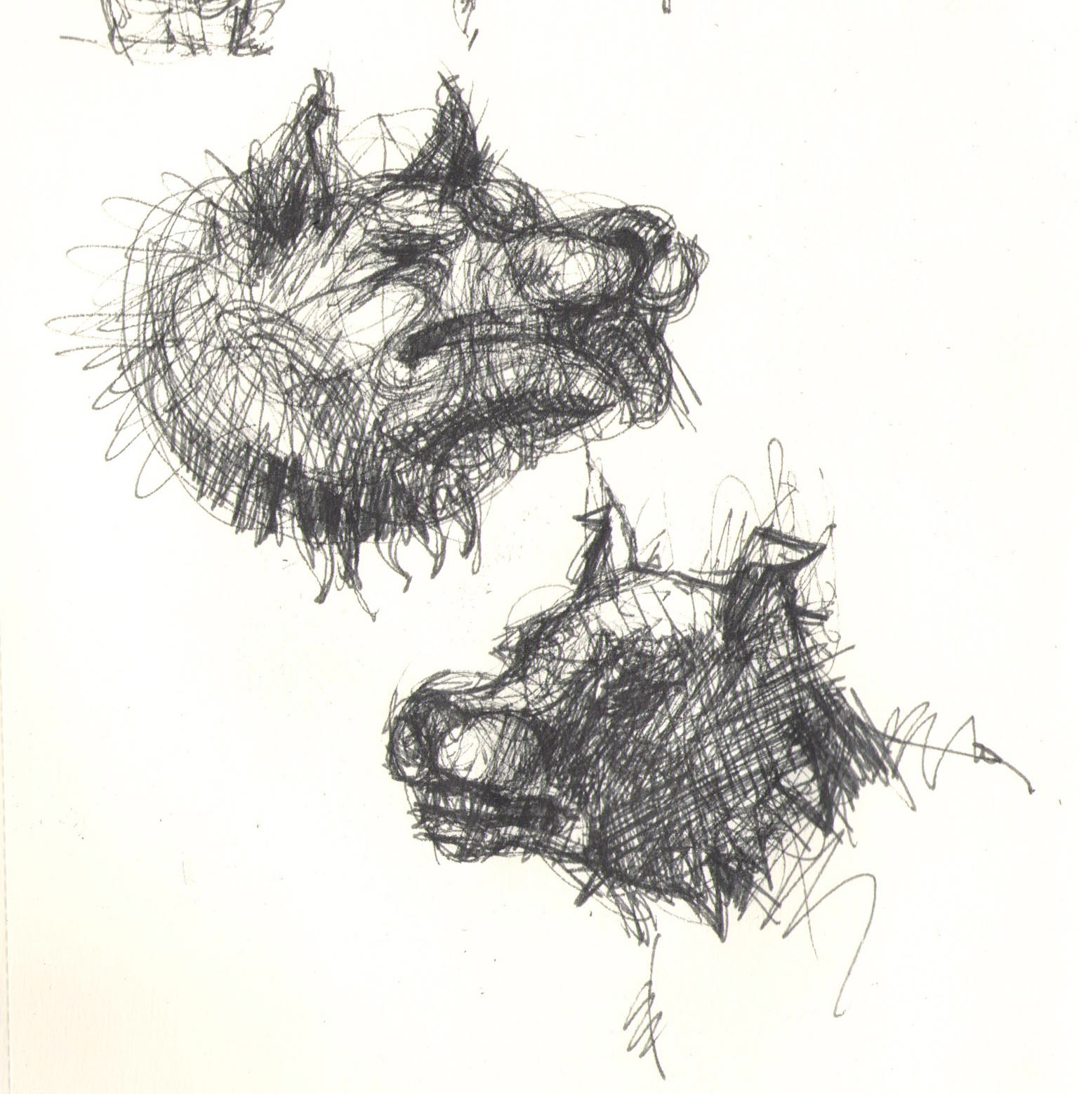 собака опричника, символ опричнины