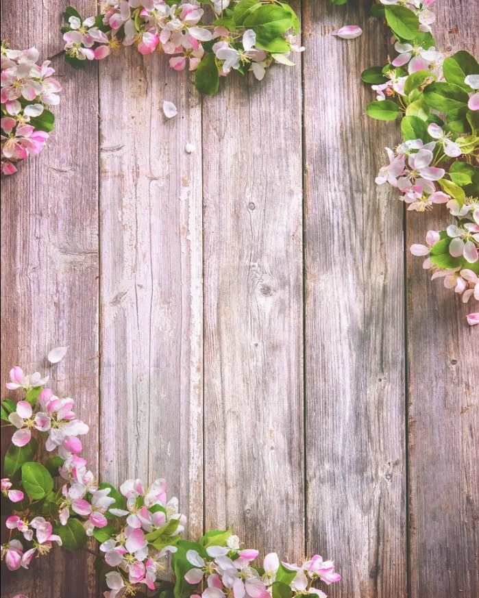 Фоны. Фотограф анималист в Санкт-Петербурге Таша Крейв