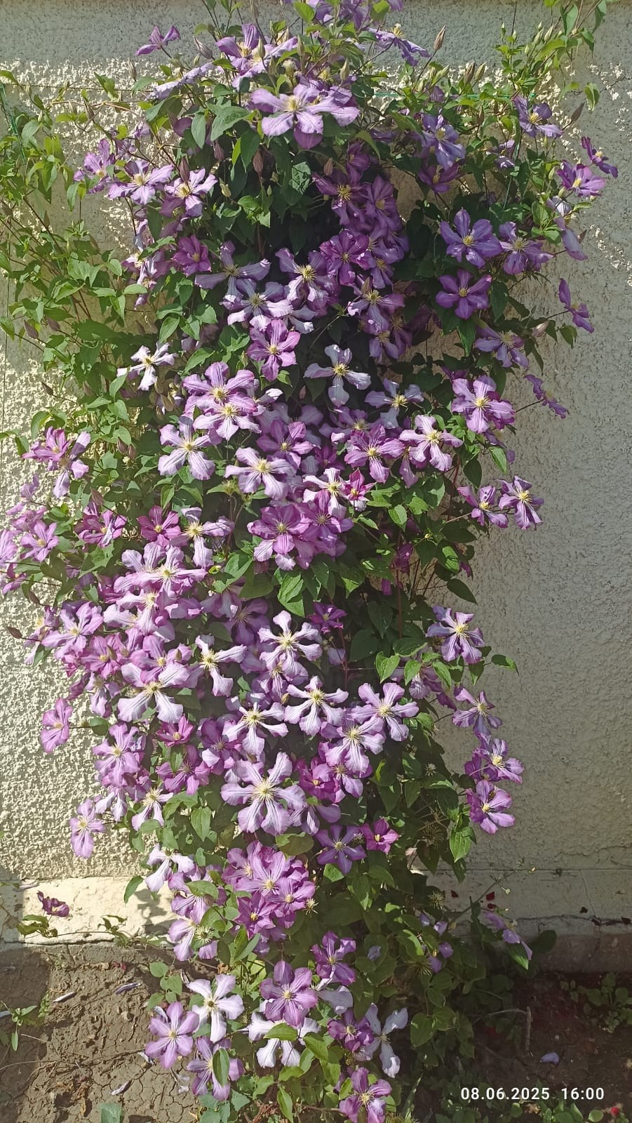 Услуги. Гостевой дом «Райский уголок»