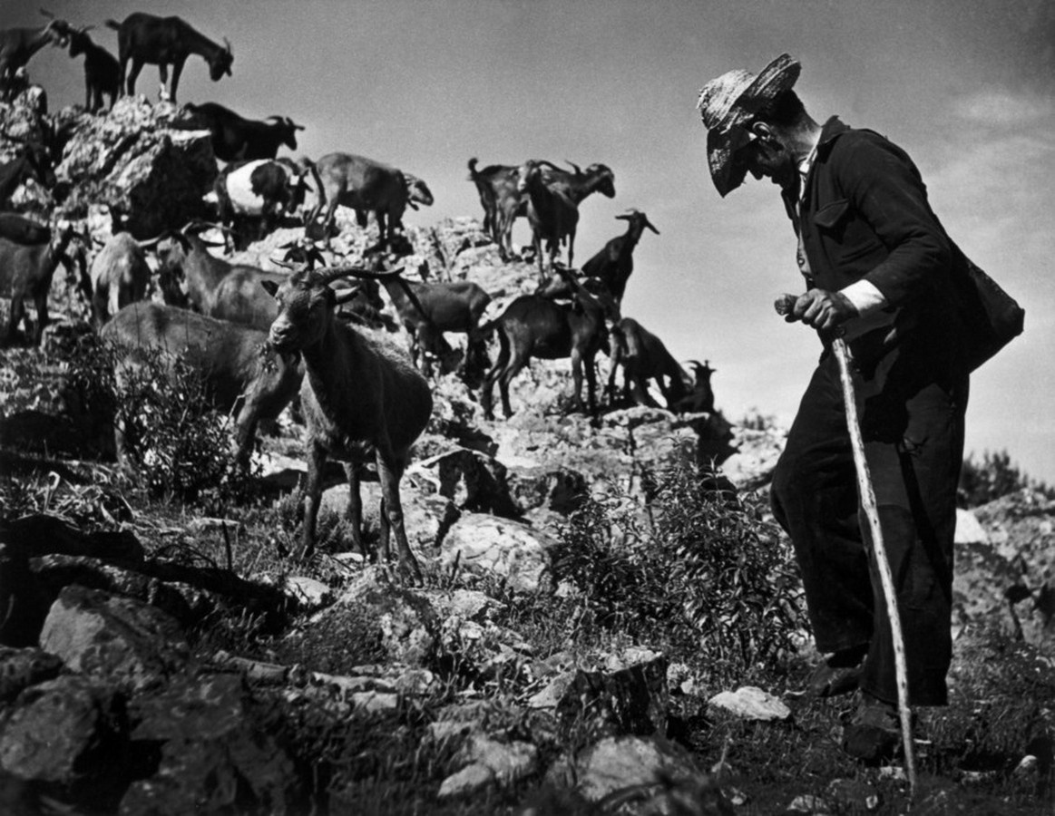 W. Eugene Smith. Выпускные альбомы, фотограф Денис Зимин в городе Ростове-на-Дону