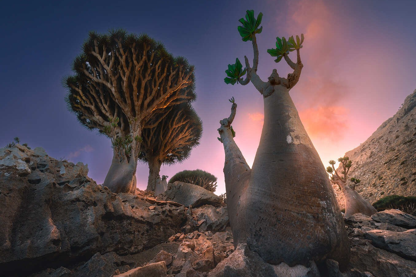 Сокотра!. Путешествуем вместе