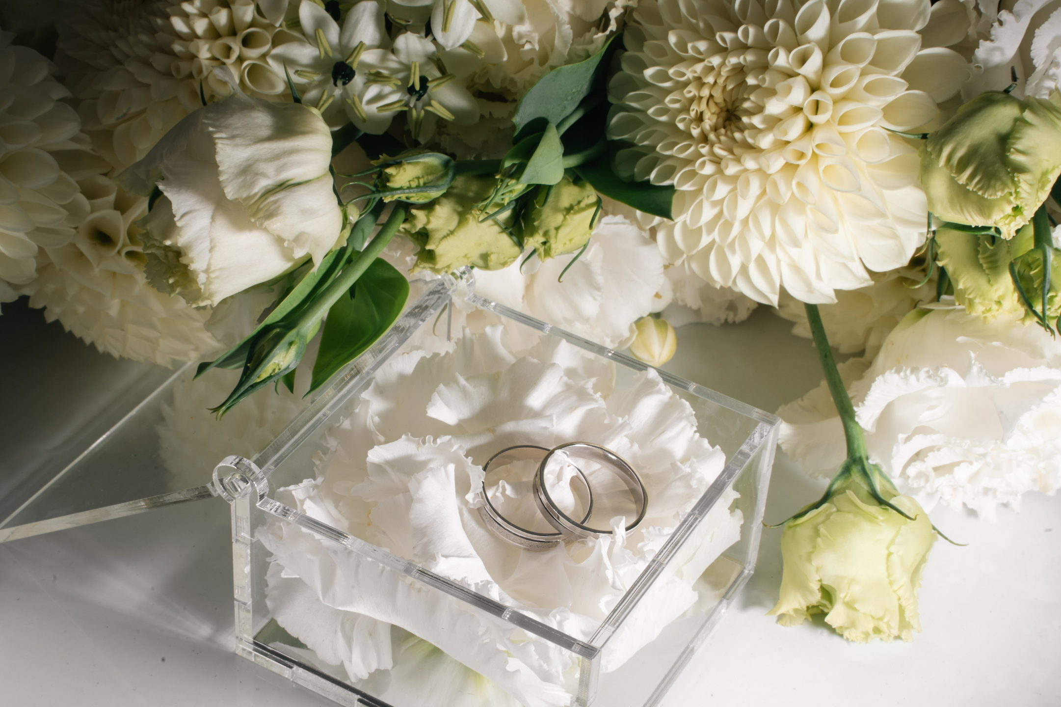 Услуги. Фотограф в Севастополе — Ольга Максименко