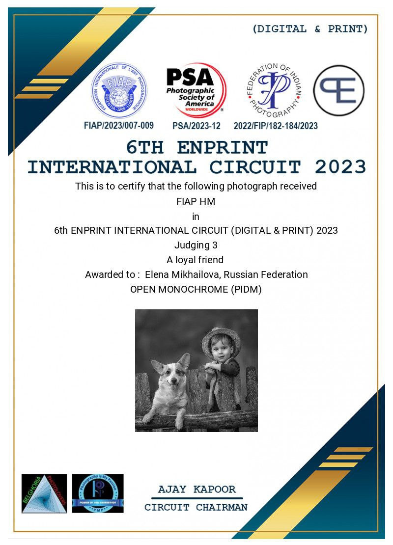 МОИ ДОСТИЖЕНИЯ. Детский и семейный фотограф Елена Михайлова в Москве