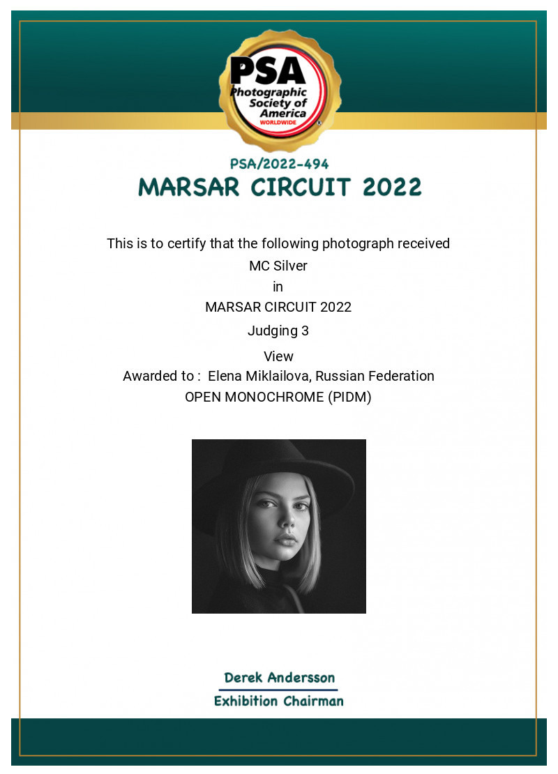 МОИ ДОСТИЖЕНИЯ. Детский и семейный фотограф Елена Михайлова в Москве