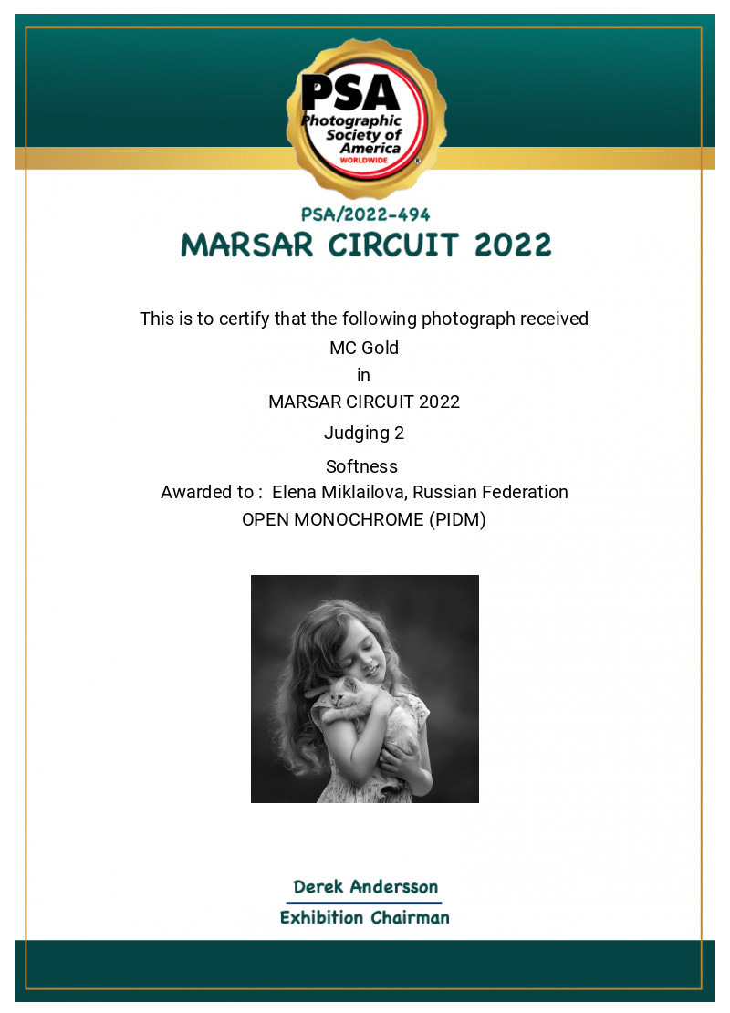 МОИ ДОСТИЖЕНИЯ. Детский и семейный фотограф Елена Михайлова в Москве