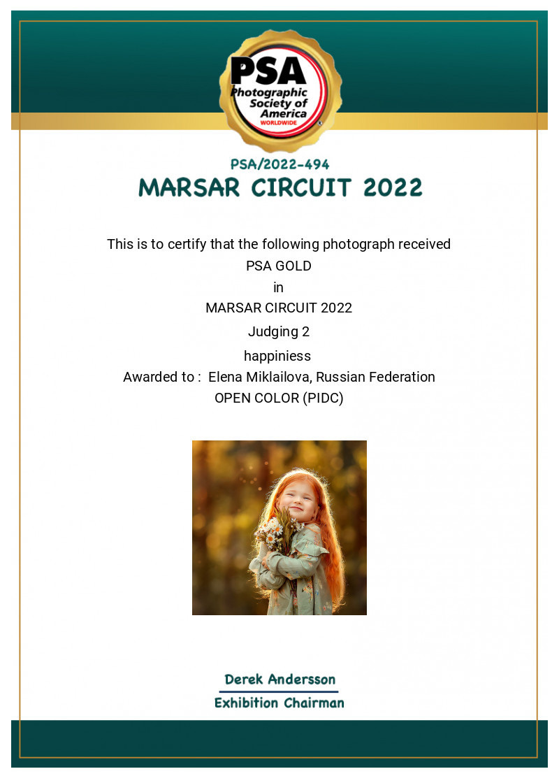 МОИ ДОСТИЖЕНИЯ. Детский и семейный фотограф Елена Михайлова в Москве