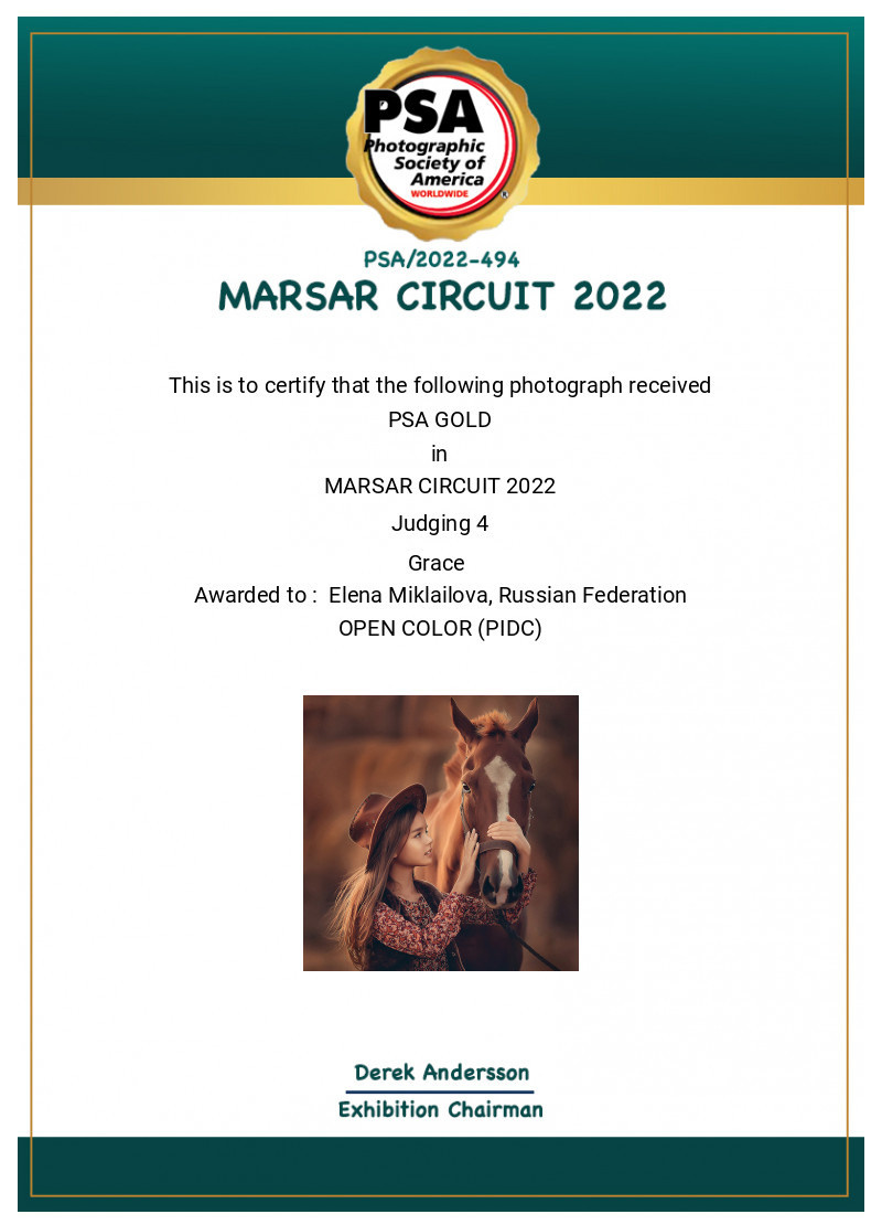 МОИ ДОСТИЖЕНИЯ. Детский и семейный фотограф Елена Михайлова в Москве