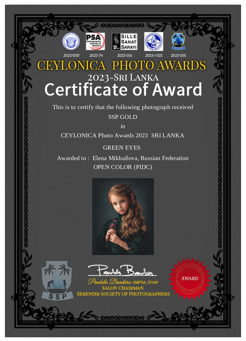 МОИ ДОСТИЖЕНИЯ. Детский и семейный фотограф Елена Михайлова в Москве