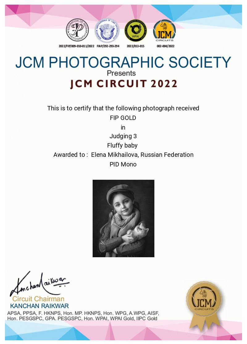 МОИ ДОСТИЖЕНИЯ. Детский и семейный фотограф Елена Михайлова в Москве