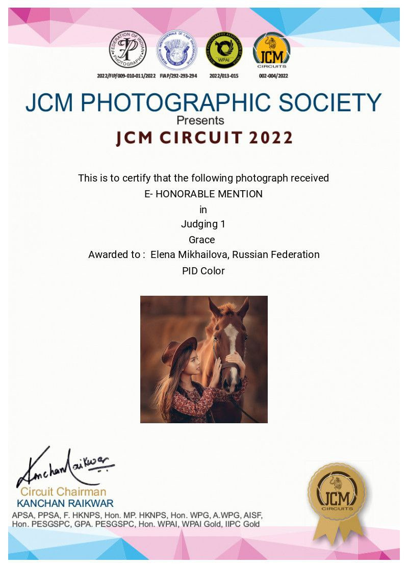 МОИ ДОСТИЖЕНИЯ. Детский и семейный фотограф Елена Михайлова в Москве