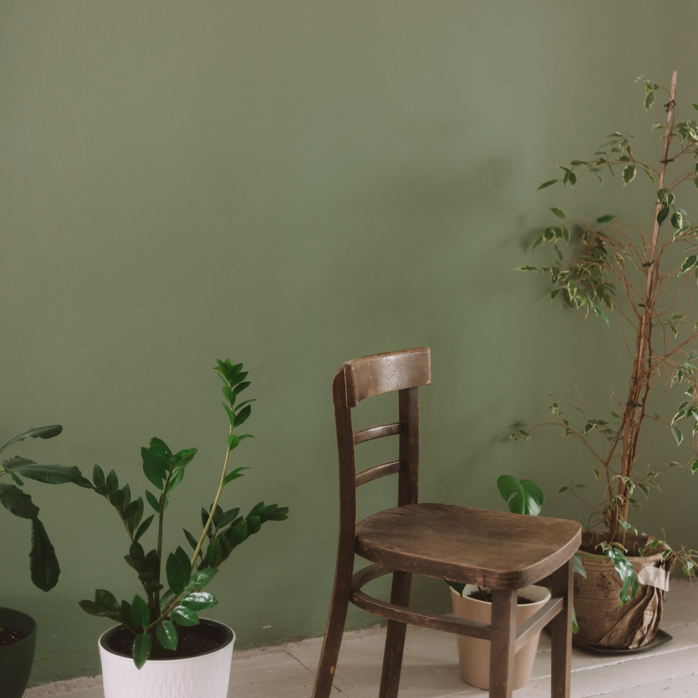 Креативные локации для предметной съемки в Пушкино