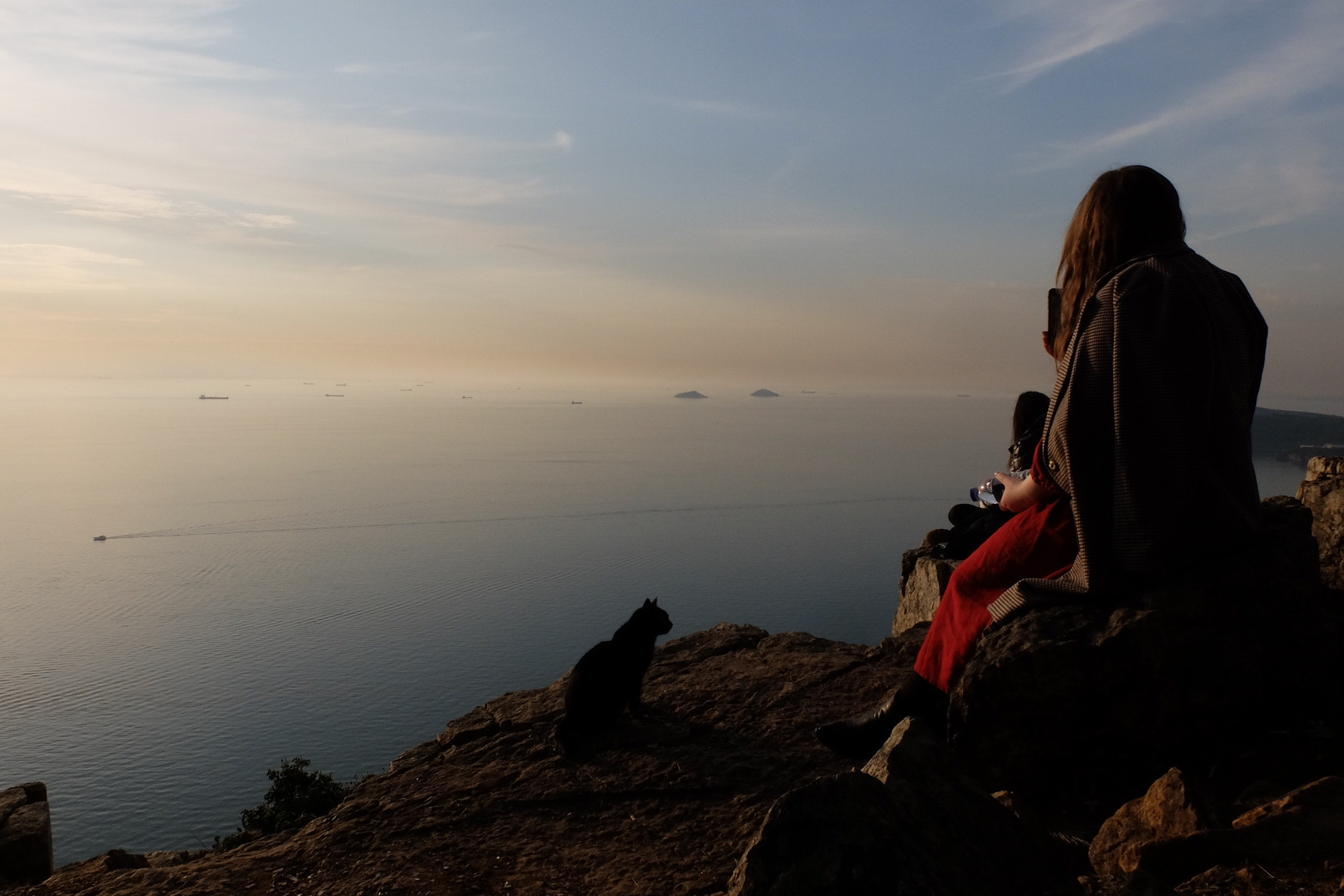Об авторе. Метлахская плитка парадных Санкт-Петербурга