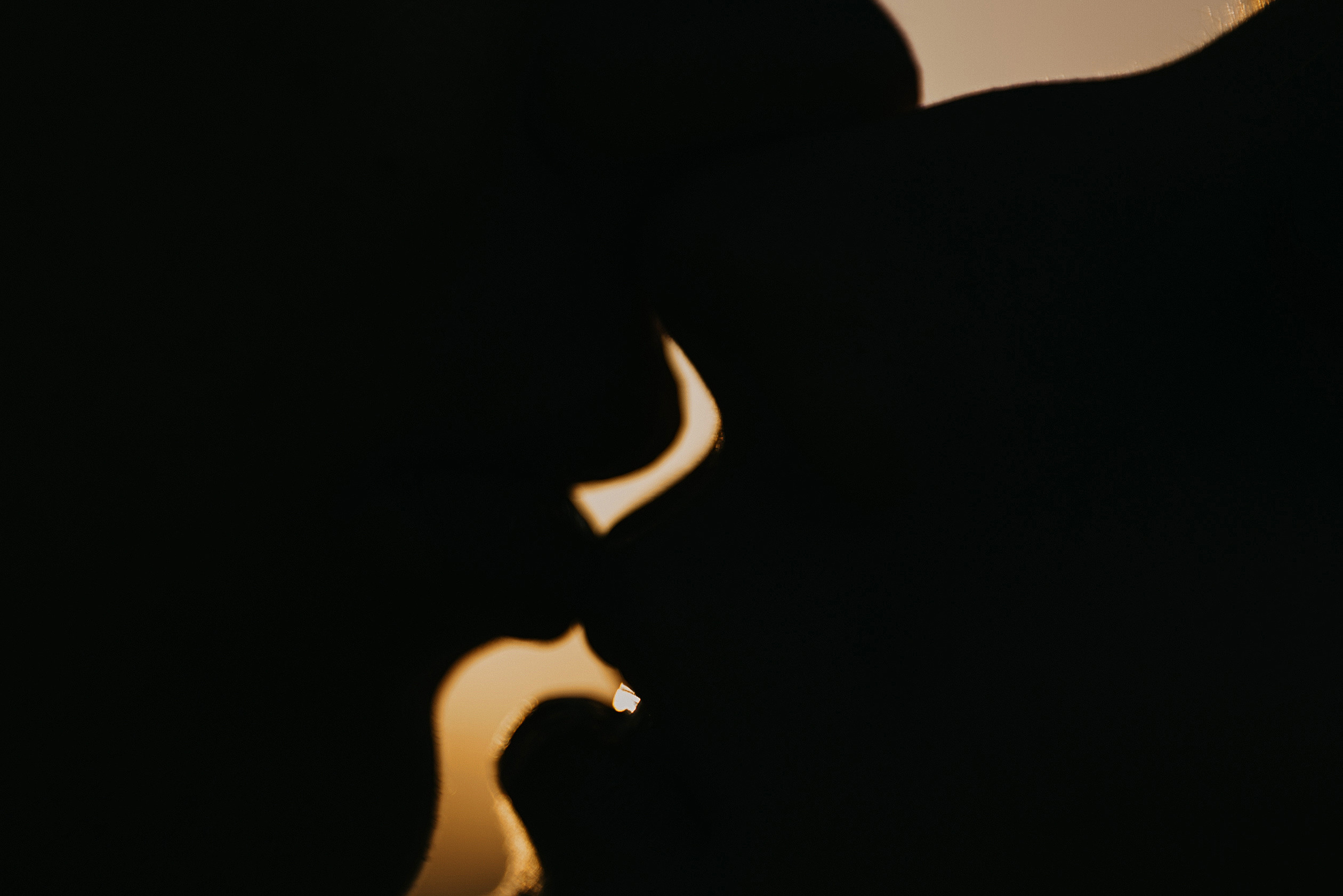 Главная. Персональный, семейный и портретный фотограф в Воронеже Майя Яхонтова