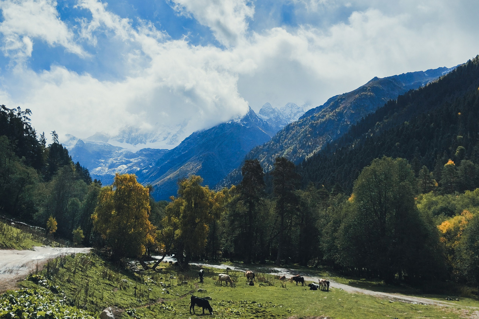 Архыз 24–27 сентября. Bytheway