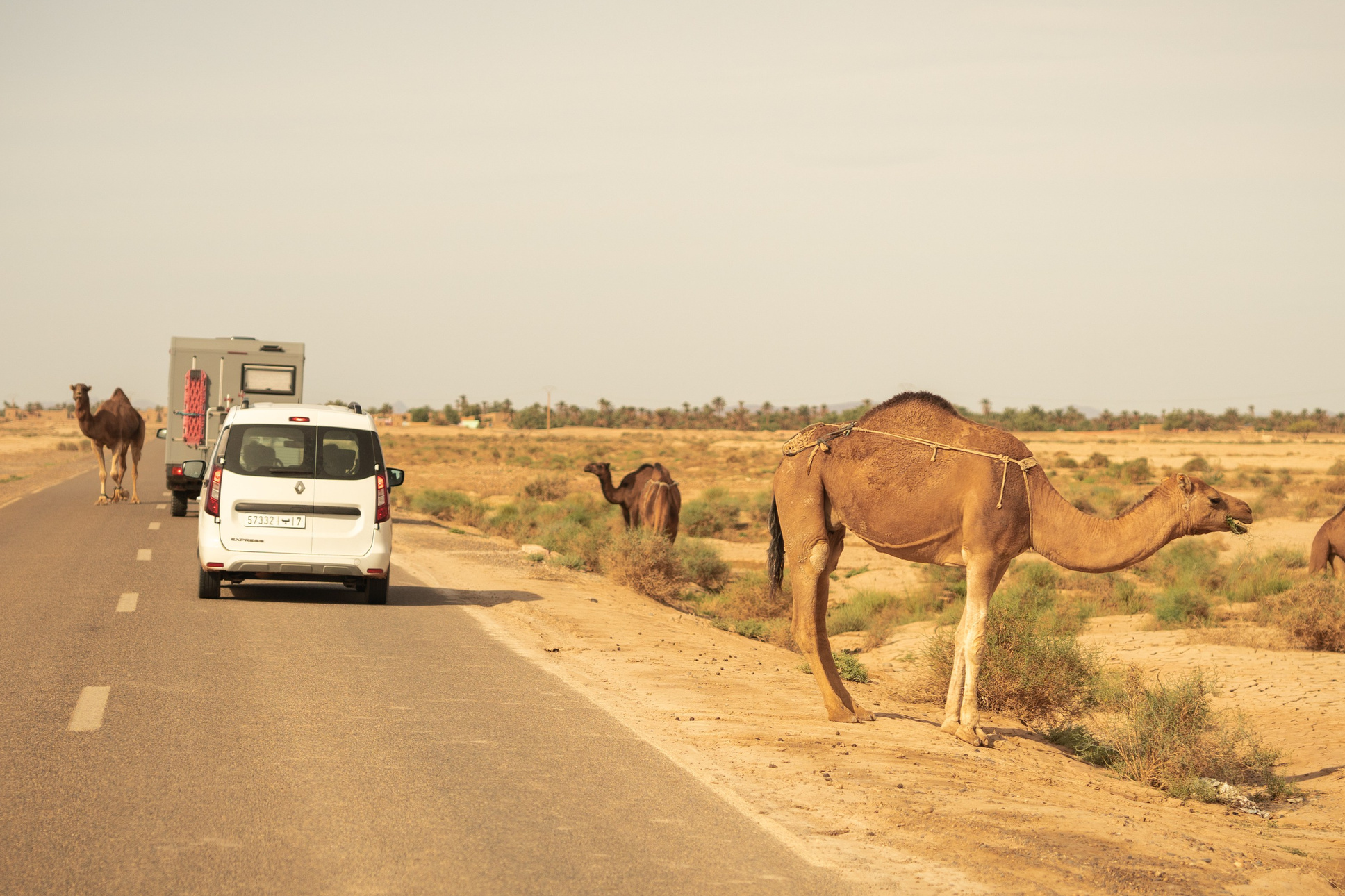 Марокко. Илья Варин — Фотограф Москва, Тверь
