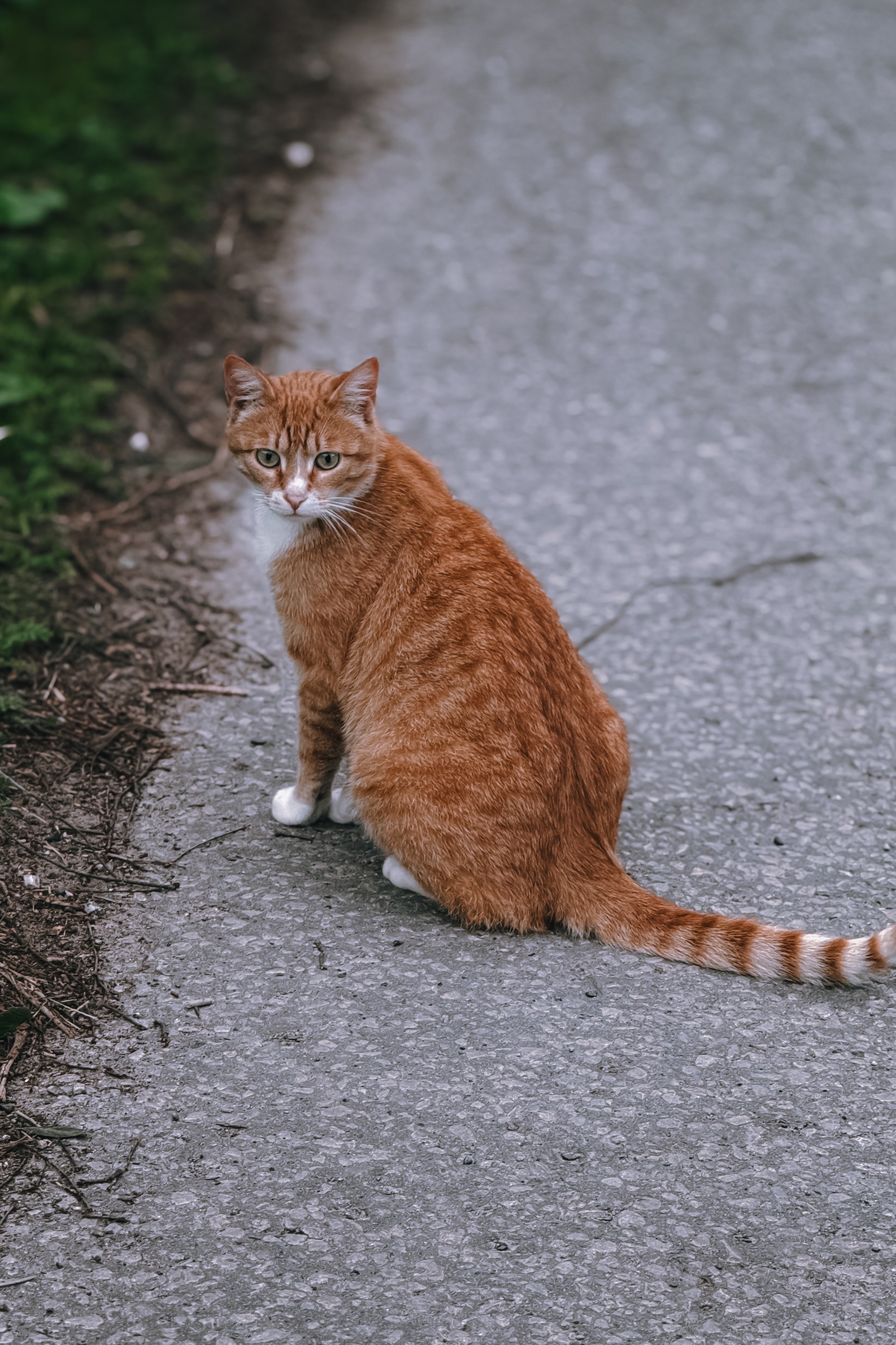 Работы учеников. ФОТОШКОЛА VISION — курс по мобильной фотографии в Москве, курс по фотографии Владимира Васильева