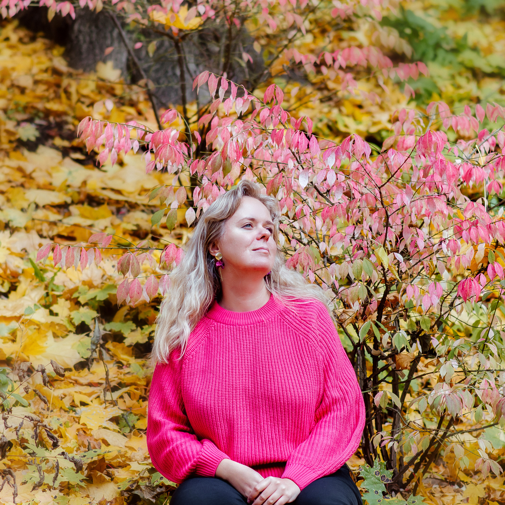 Цены. Фотограф Елена Рогашкова