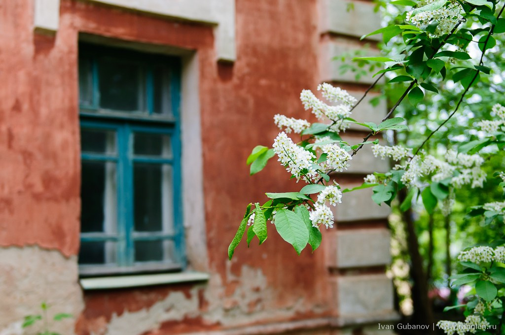 Путешествие в Калугу. Фотограф Иван Губанов