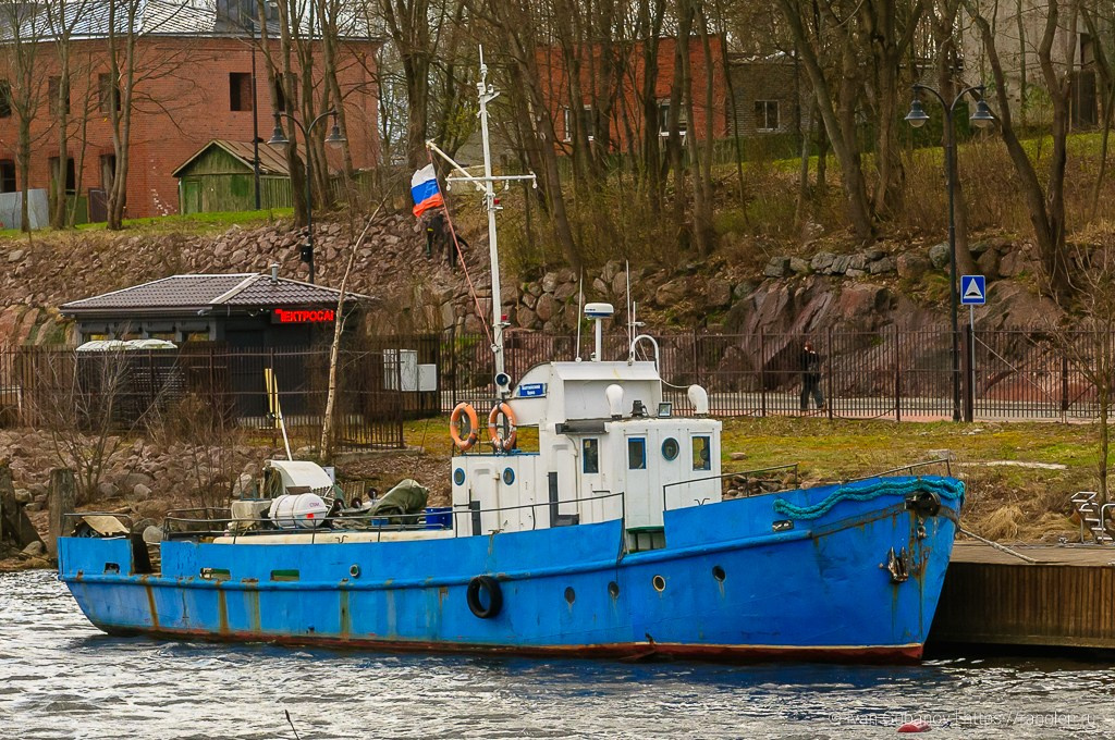 Выходной день в Выборге. Фотограф Иван Губанов