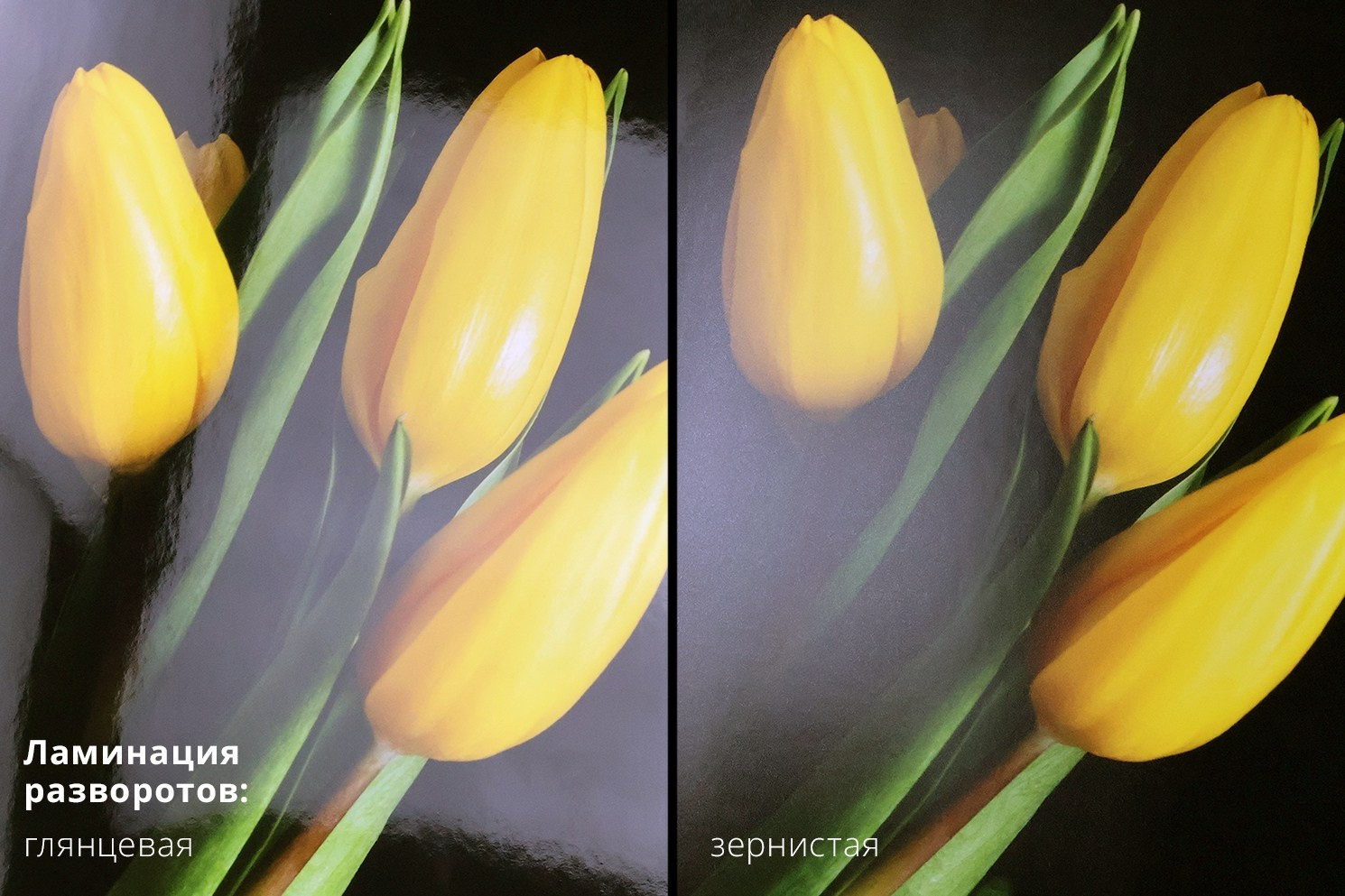 Фотокниги. Фотография и видеосъёмка