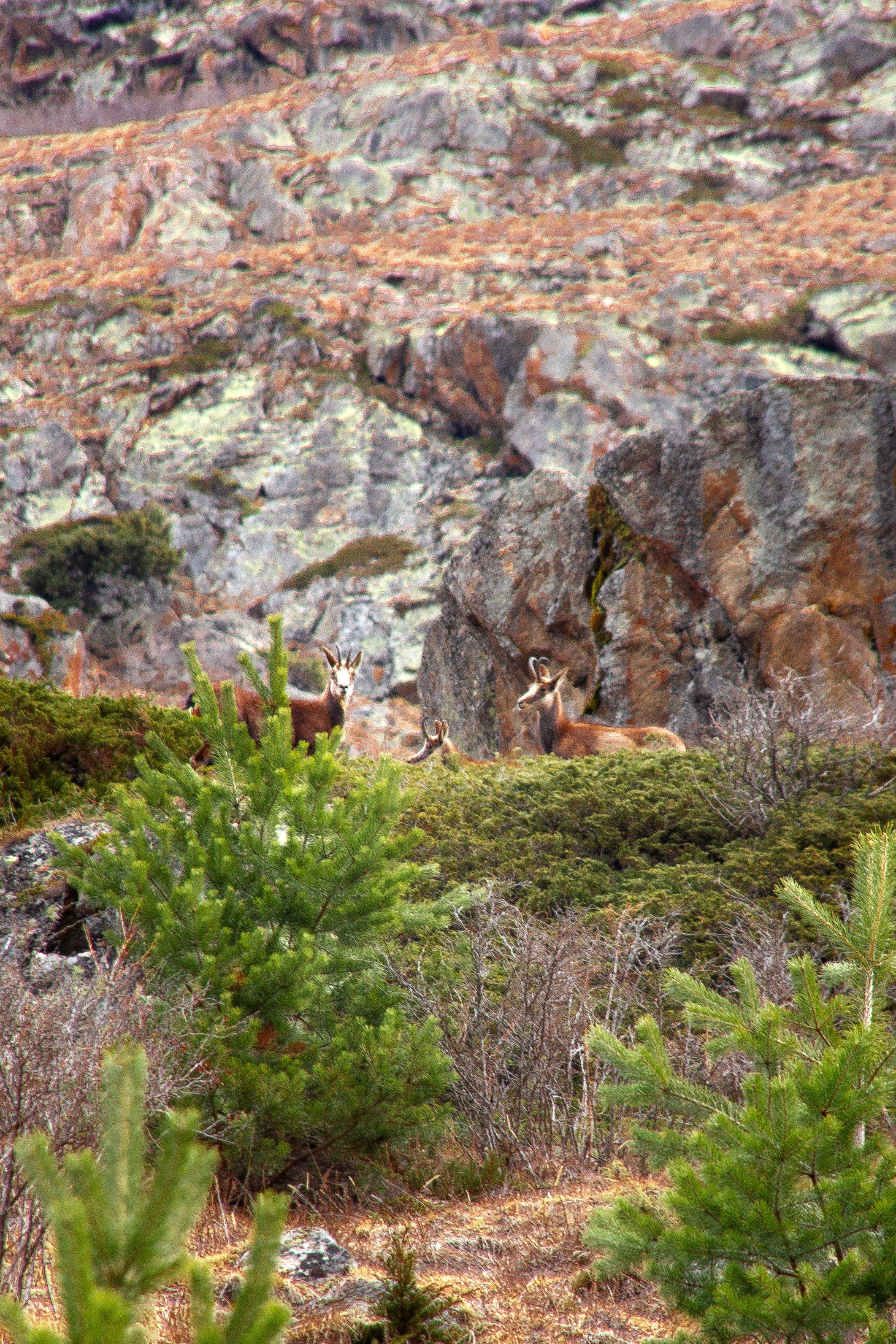 Фотограф Котий Даниил