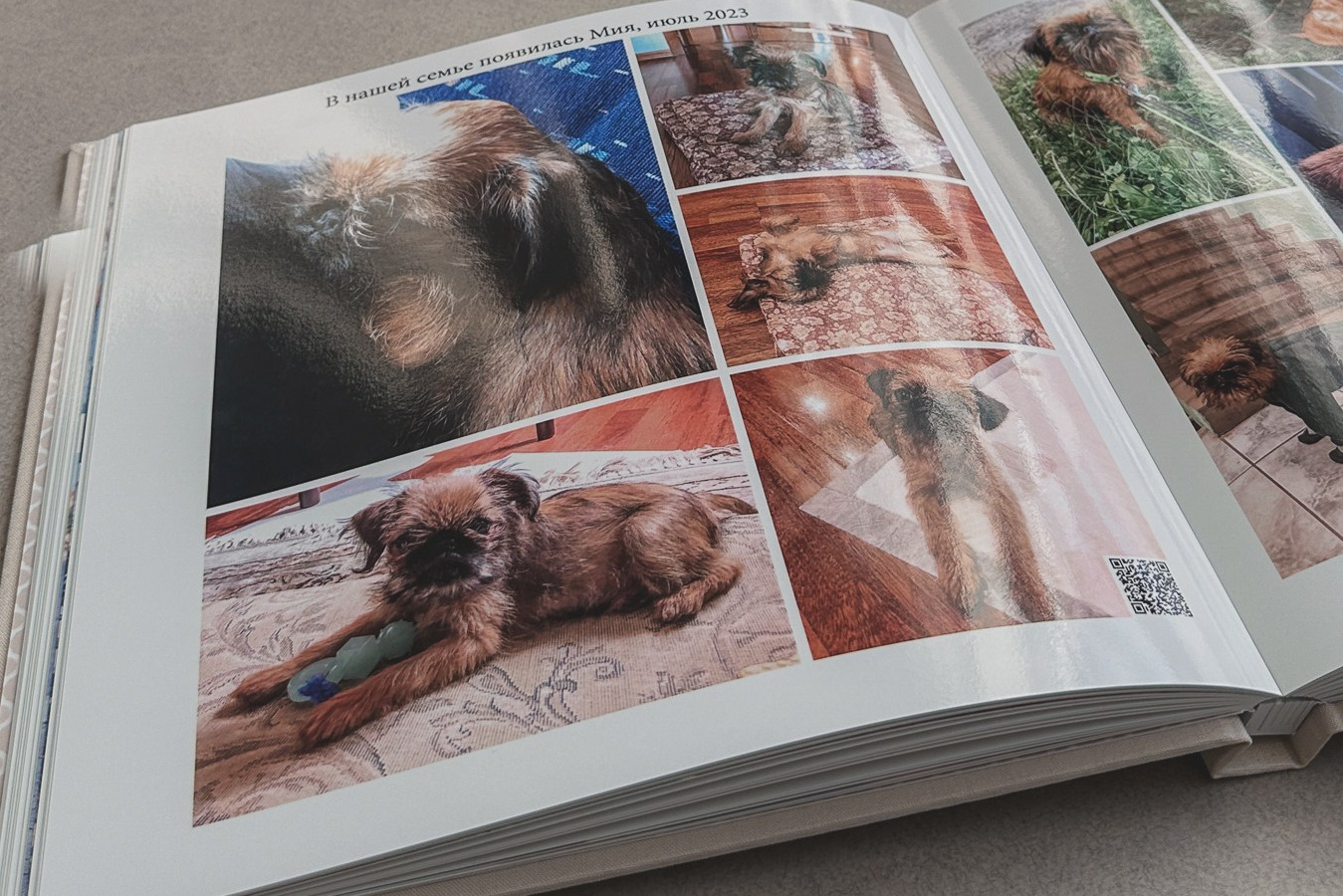Фотокнига, книга рода, фотоальбом, подарок, фотокнига омск. Семейный и детский фотограф в Омск Пугачева Елена