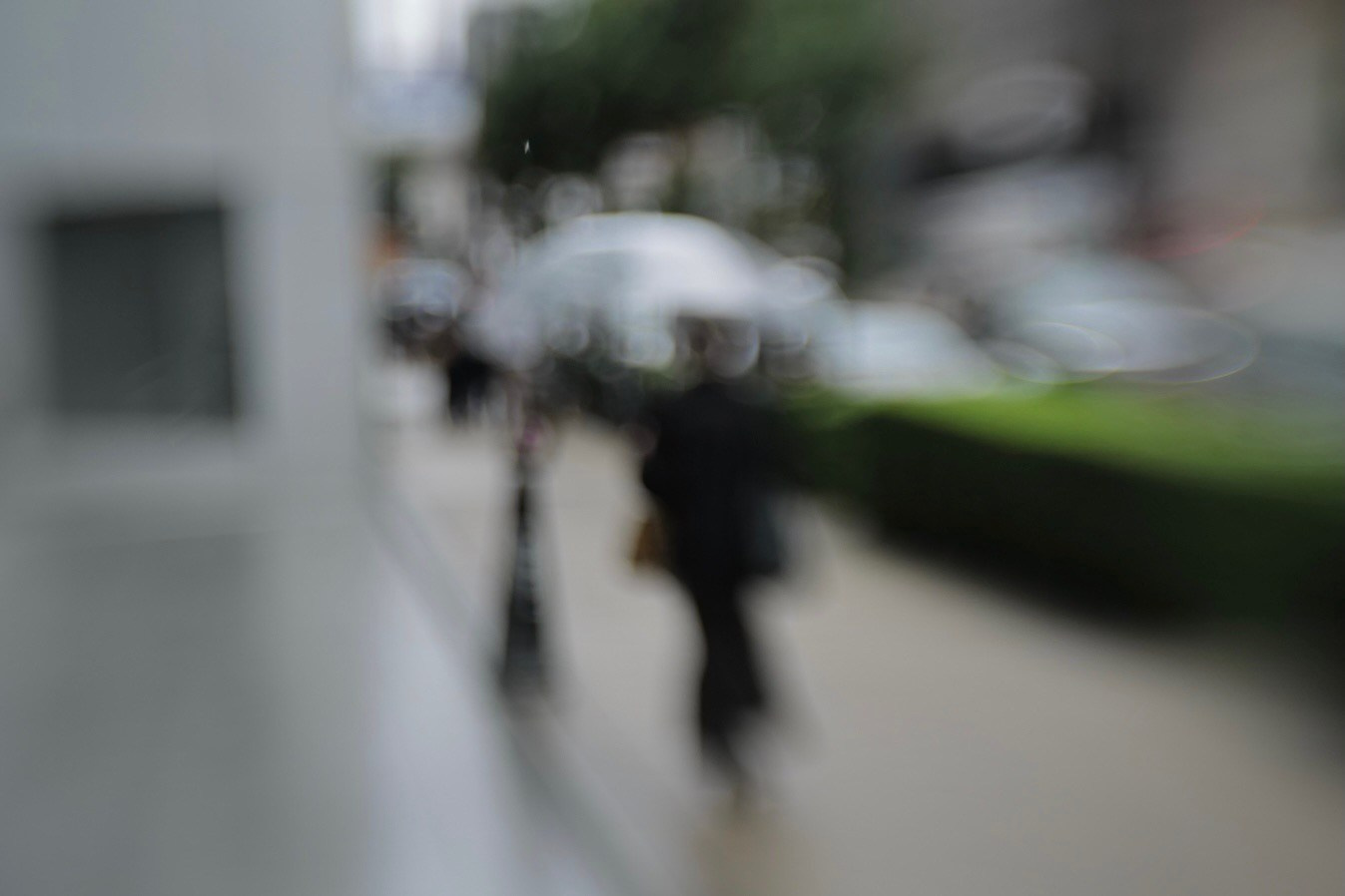 JAPAN DIGITAL. International visual artist