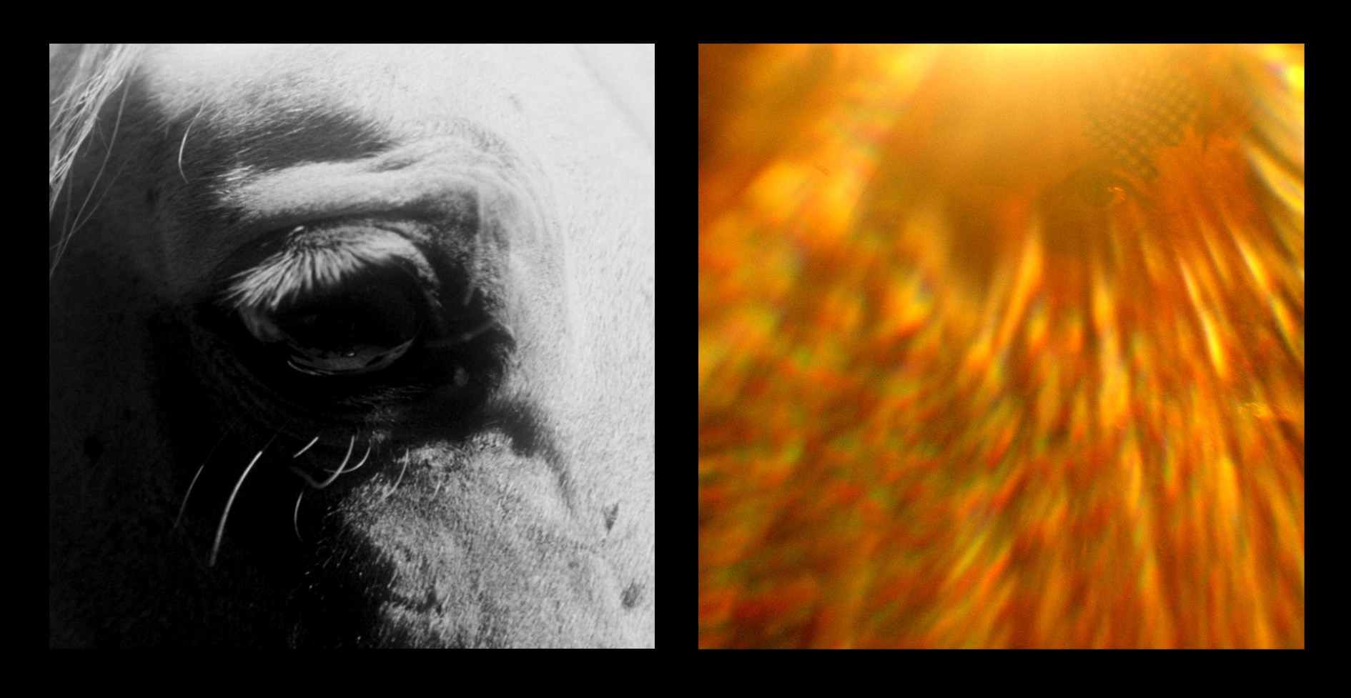 DIPTYCHS. ALEXEI RODIONOV