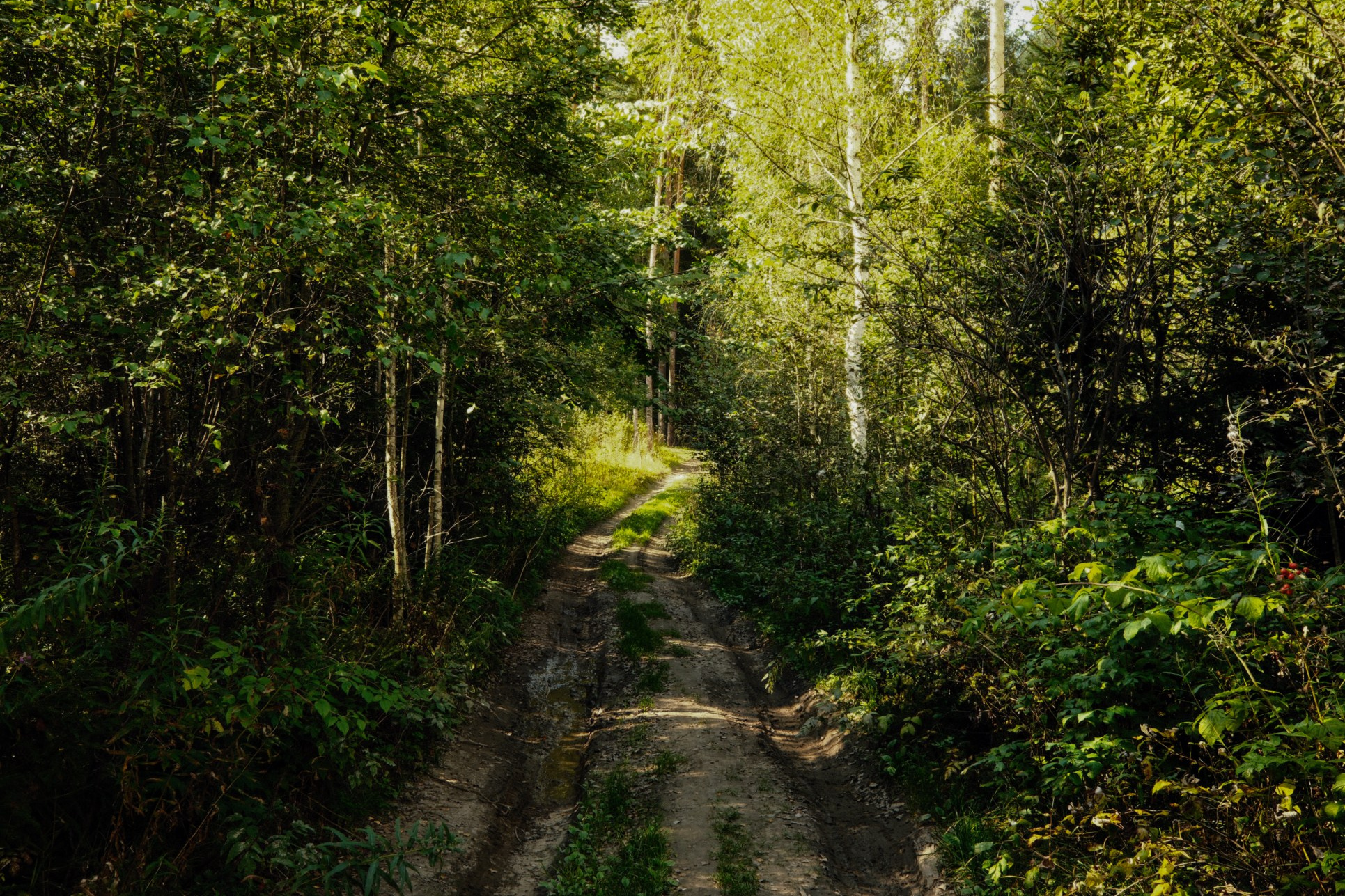 СОЛЯМИ. Belugin Art