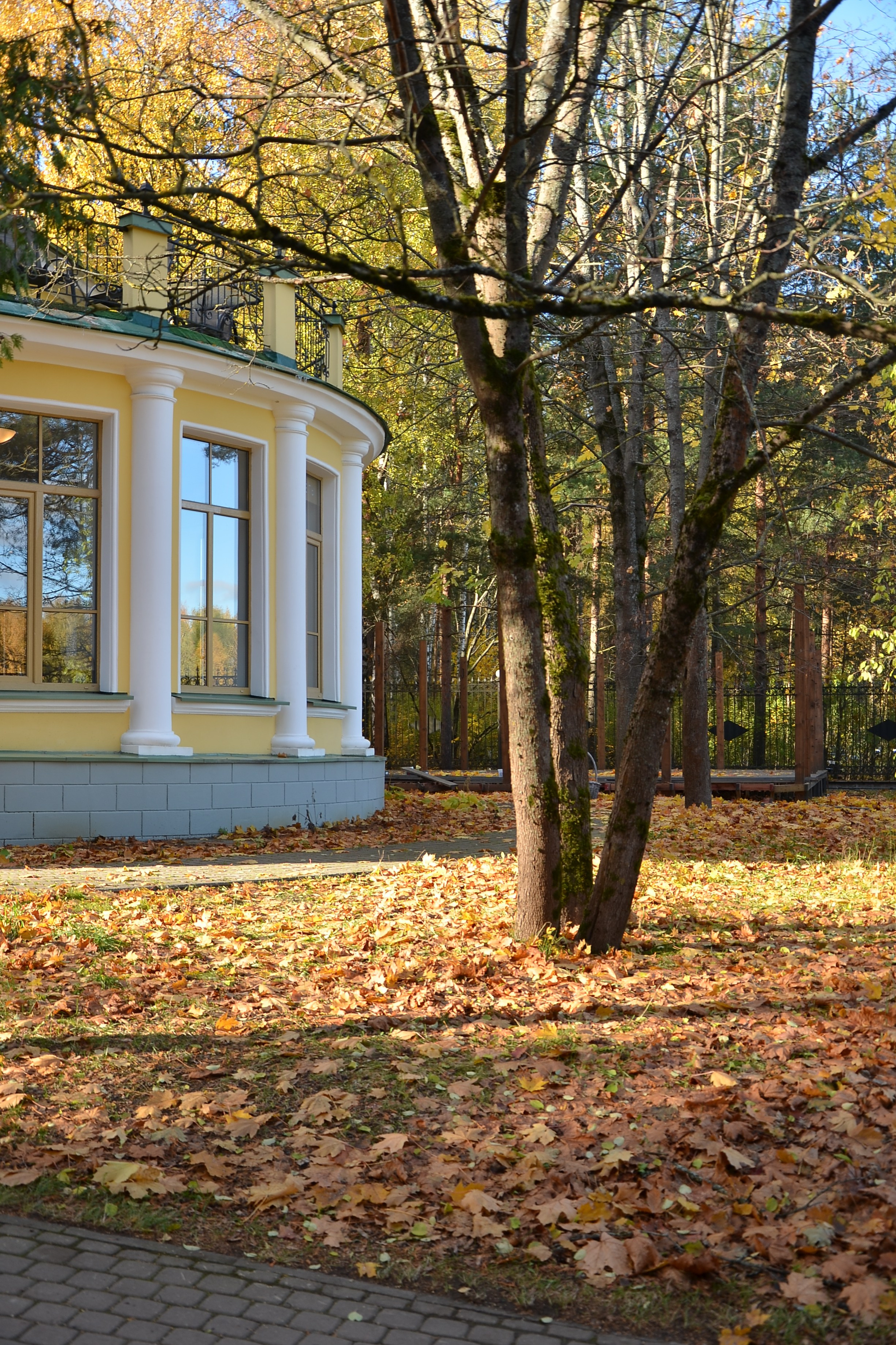 Добро пожаловать на мой сайт, меня зовут Наталия, я фотограф