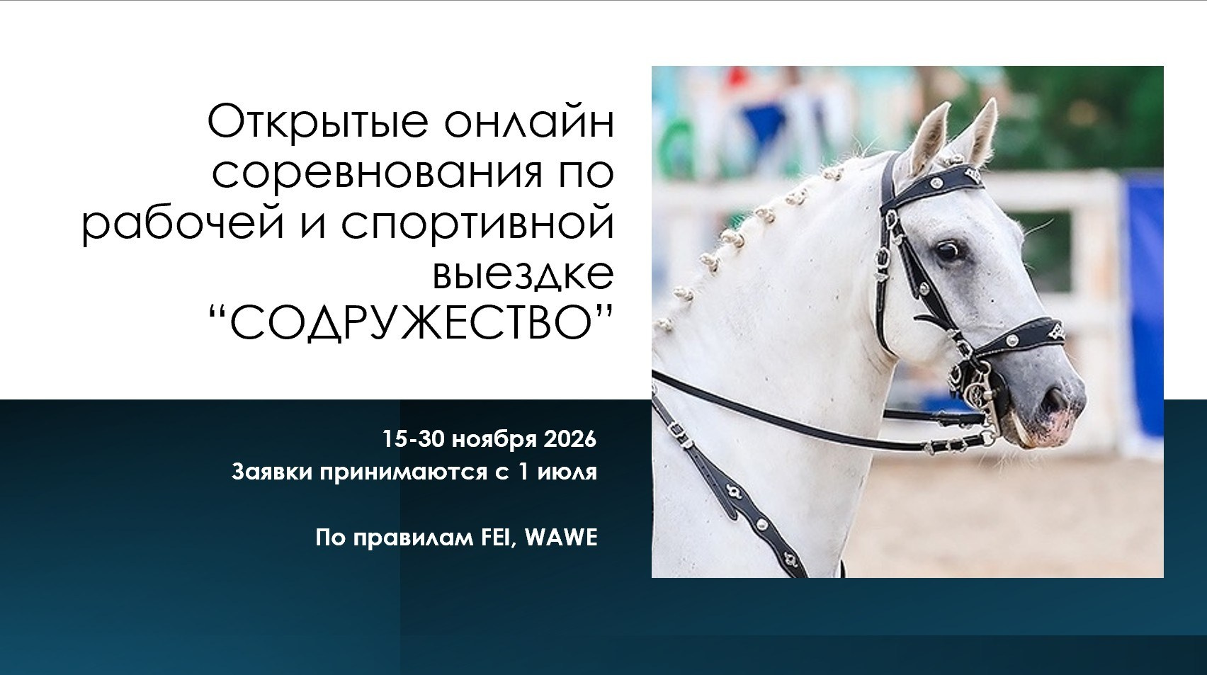 Открытые онлайн соревнования по выездке «Содружество 2026». Лиана Антонович | Конные стратегии