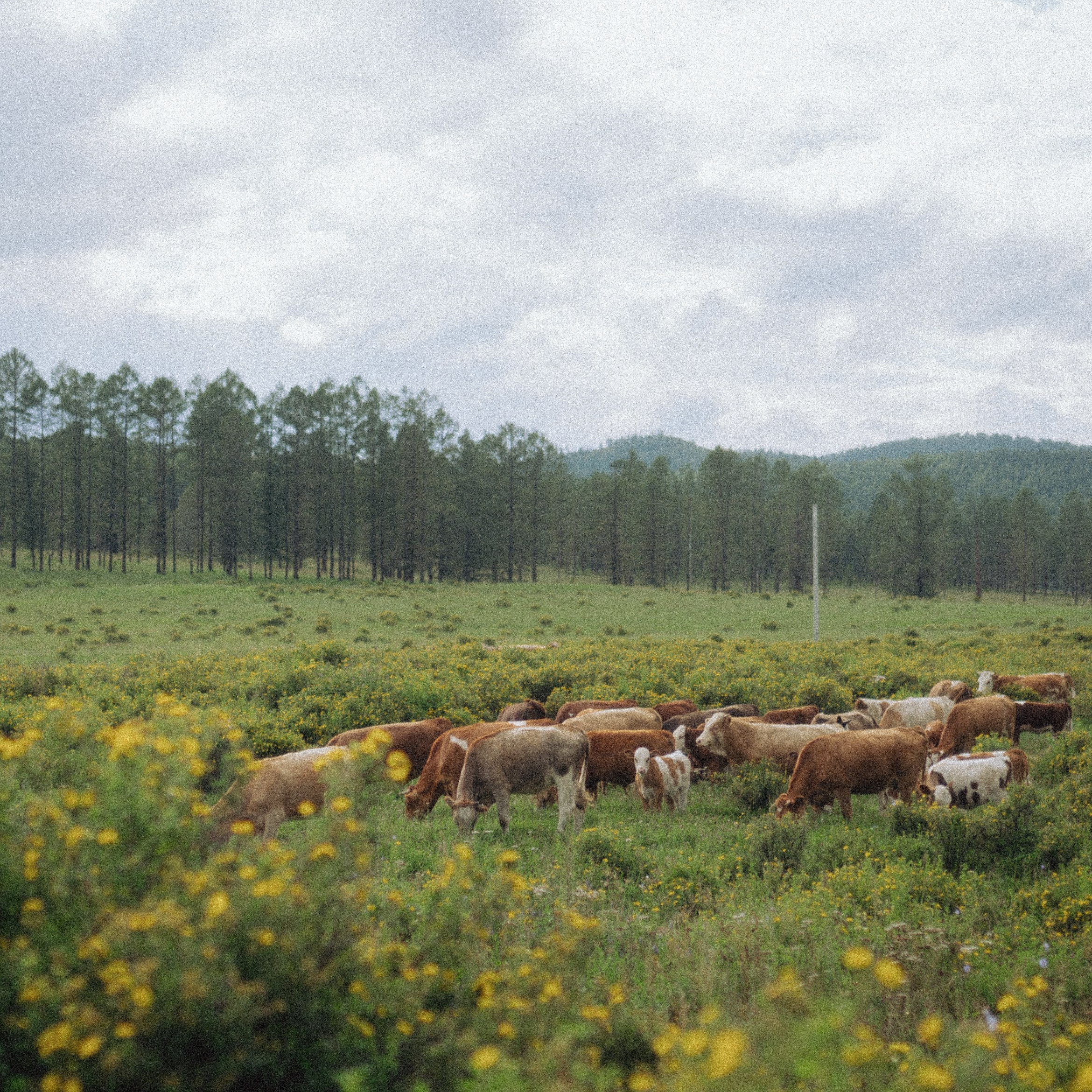 Обо мне. Фотограф Москва Селюкова Юлия