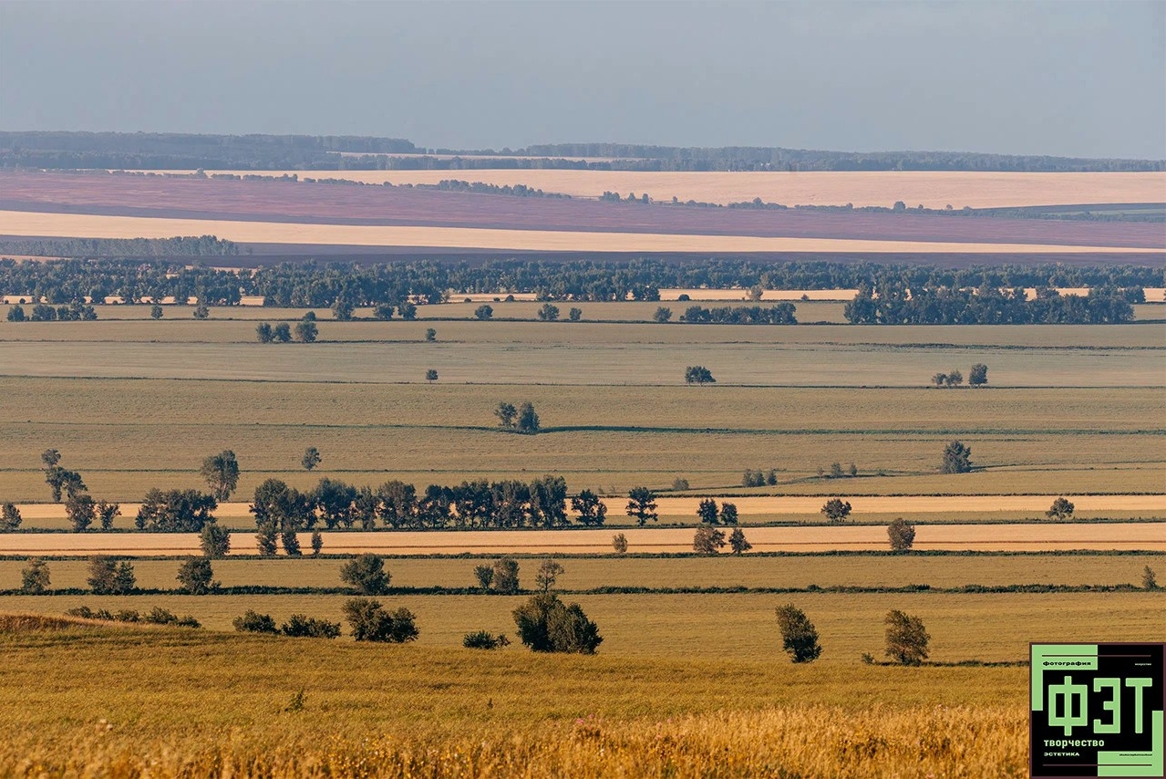 Альбом 16.08.26 в рамках ФЭТ