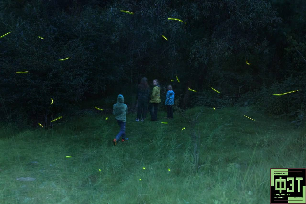 Альбом 02.08.2026 в рамках проекта для фотографов ФЭТ