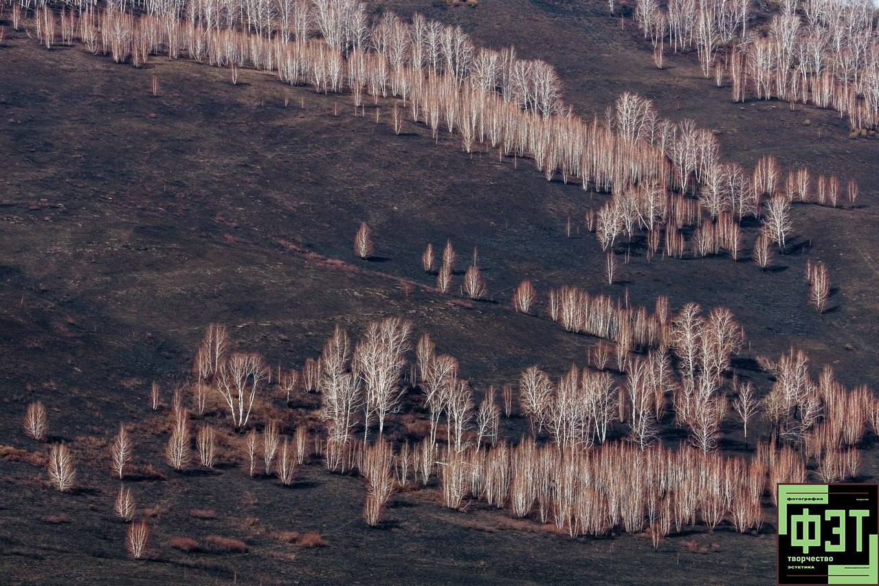 Альбом 07.06.2026 в рамках ФЭТ