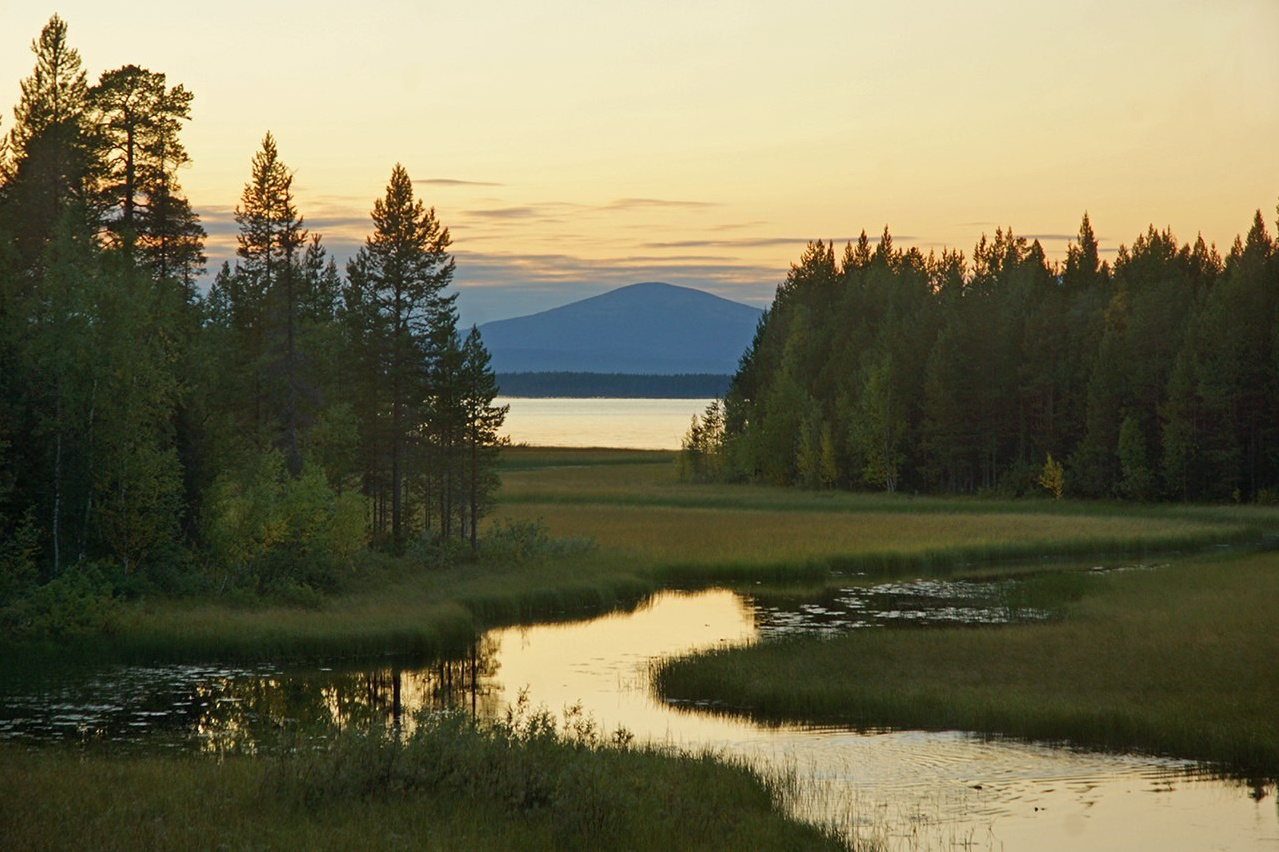 Музыкальная экспедиция на Белое море. Творческий лагерь для взрослых